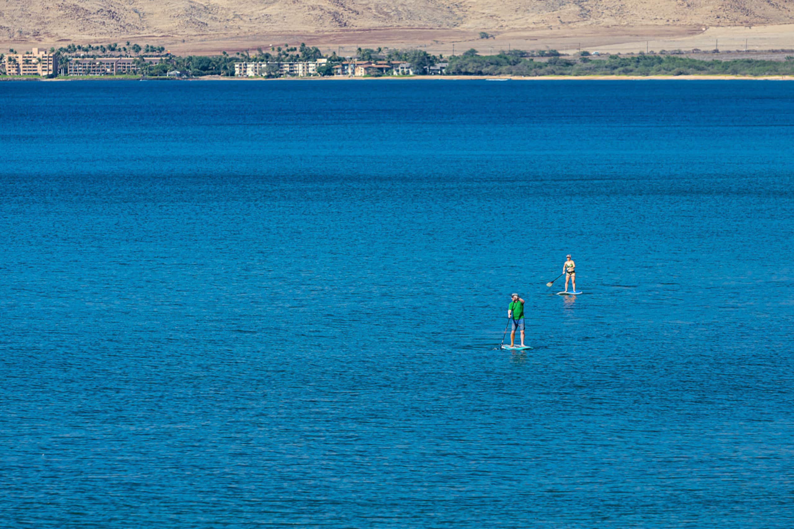 Condo in Kihei · ★4.92 · 1 bedroom · 2 beds · 1 shared bath - Image 41