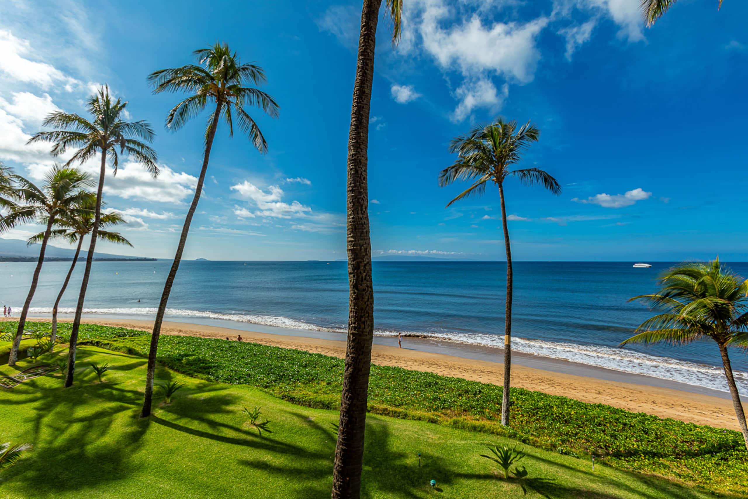 Condo in Kihei · ★4.92 · 1 bedroom · 2 beds · 1 shared bath - Image 32