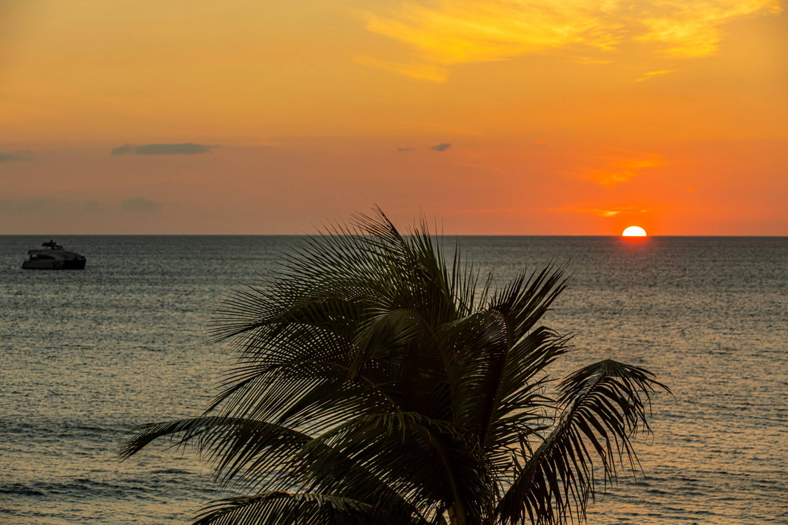 Condo in Kihei · ★4.92 · 1 bedroom · 2 beds · 1 shared bath - Image 47