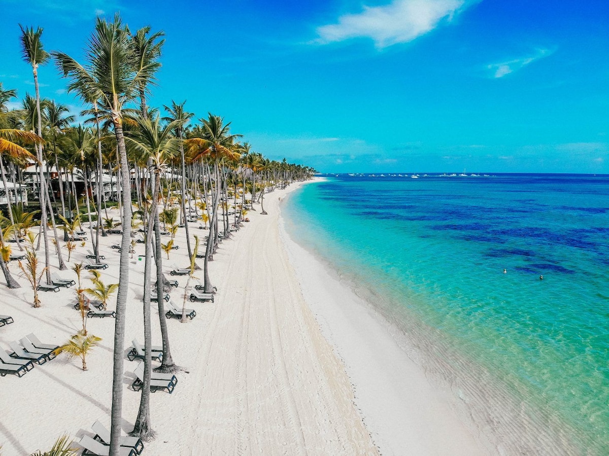 A serene beachfront view features a pristine white sand shore lined with palm trees. The turquoise waters gently lap at the shoreline, reflecting the vibrant blue sky above. Lounge chairs are positioned along the beach, inviting relaxation in a tropical environment.
