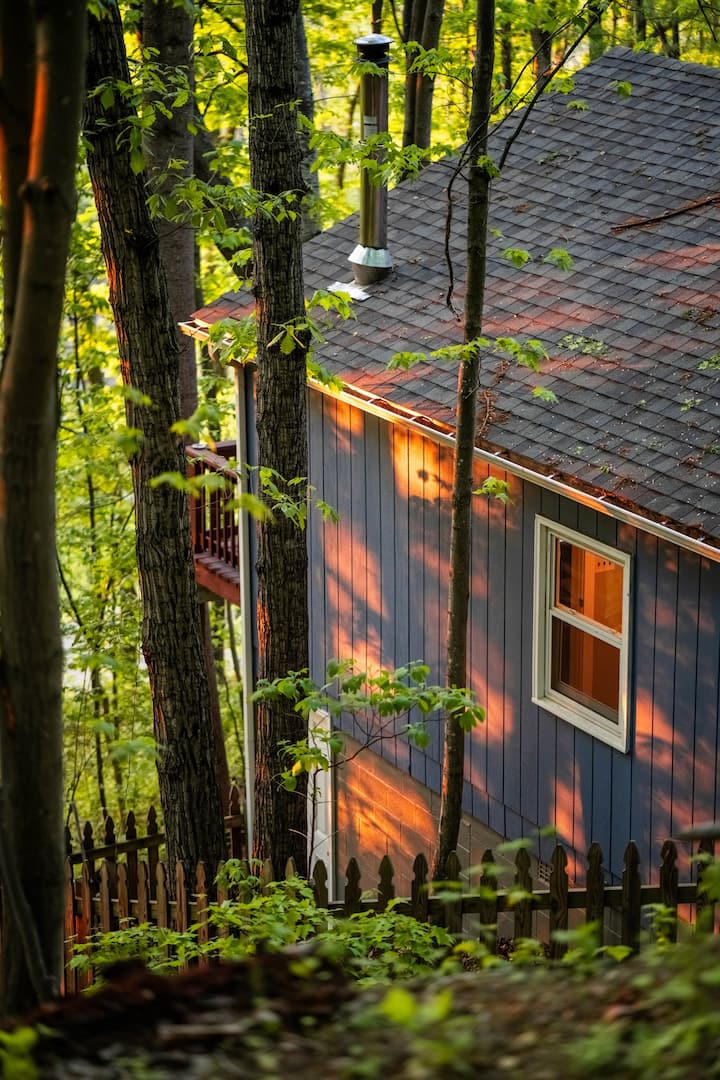The Nook: Fenced yard, cabin, firepit