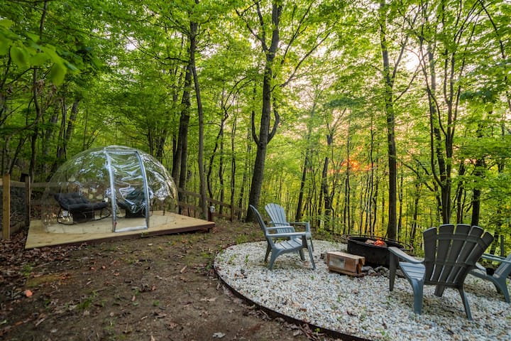 The Nook: Fenced yard, cabin, firepit
