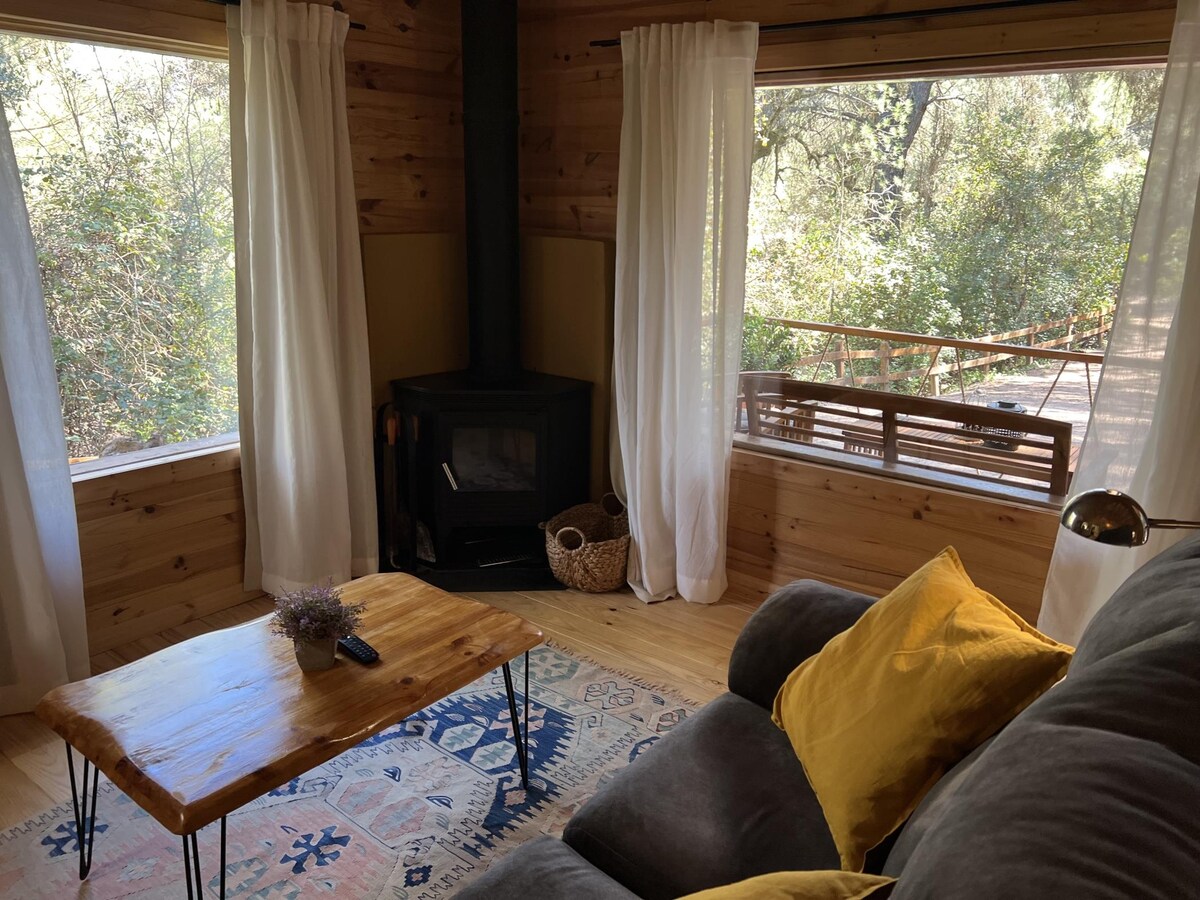 A living area is shown with large windows offering views of the surrounding forest. Natural wood finishes adorn the walls, while a light gray sofa and a wooden coffee table create a welcoming space. A small stove stands nearby, enhancing the cozy ambiance.