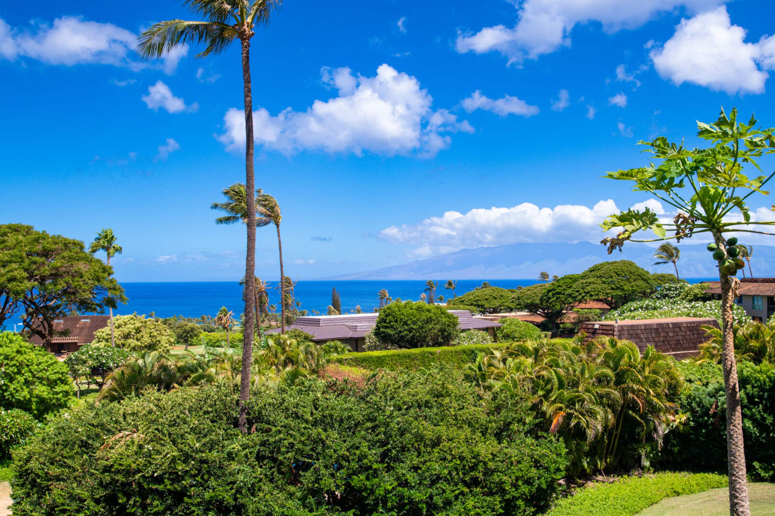 Condo in Lahaina · ★4.82 · 2 bedrooms · 2 beds · 2 baths - Image 5