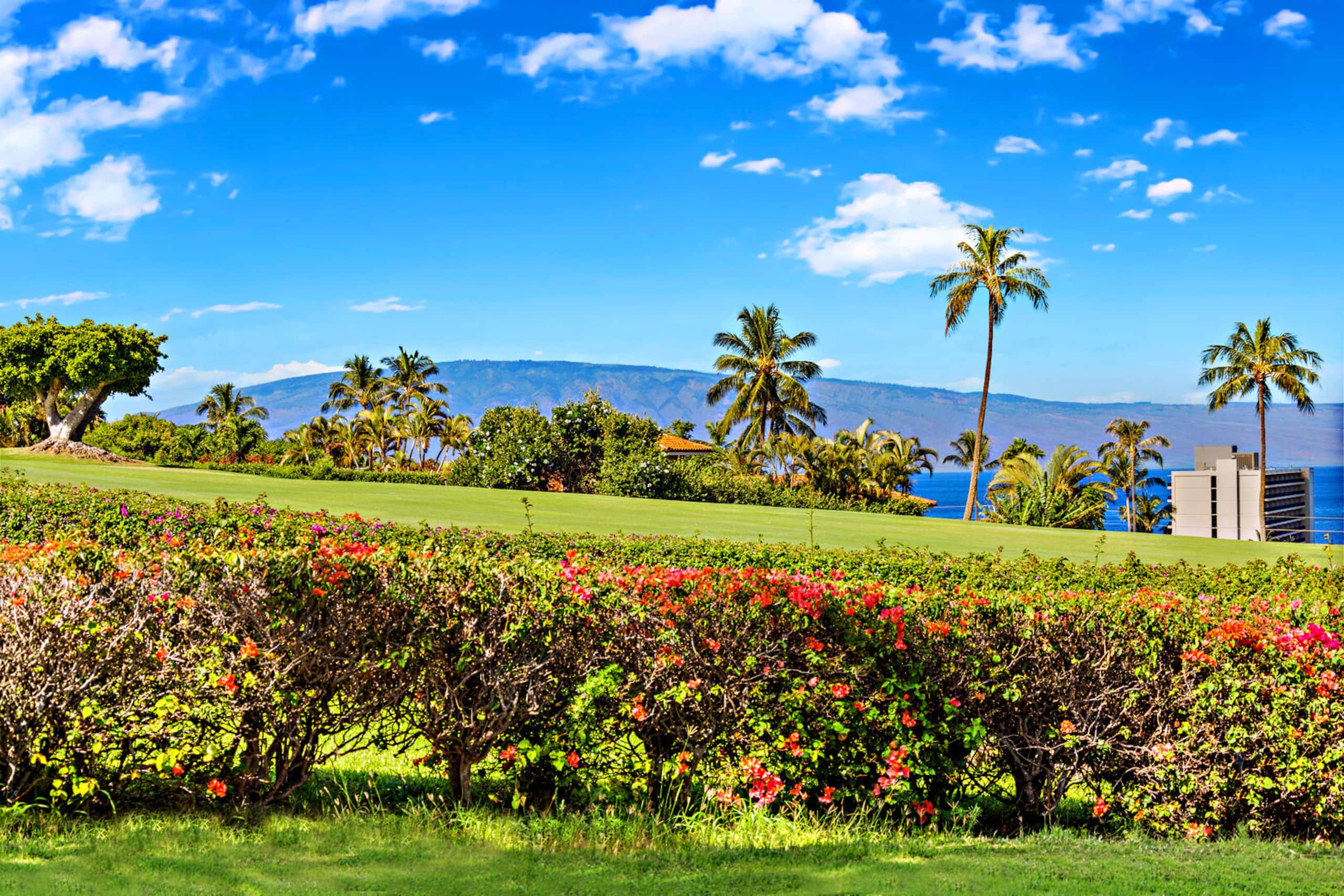 Condo in Lahaina · ★4.82 · 2 bedrooms · 2 beds · 2 baths - Image 36
