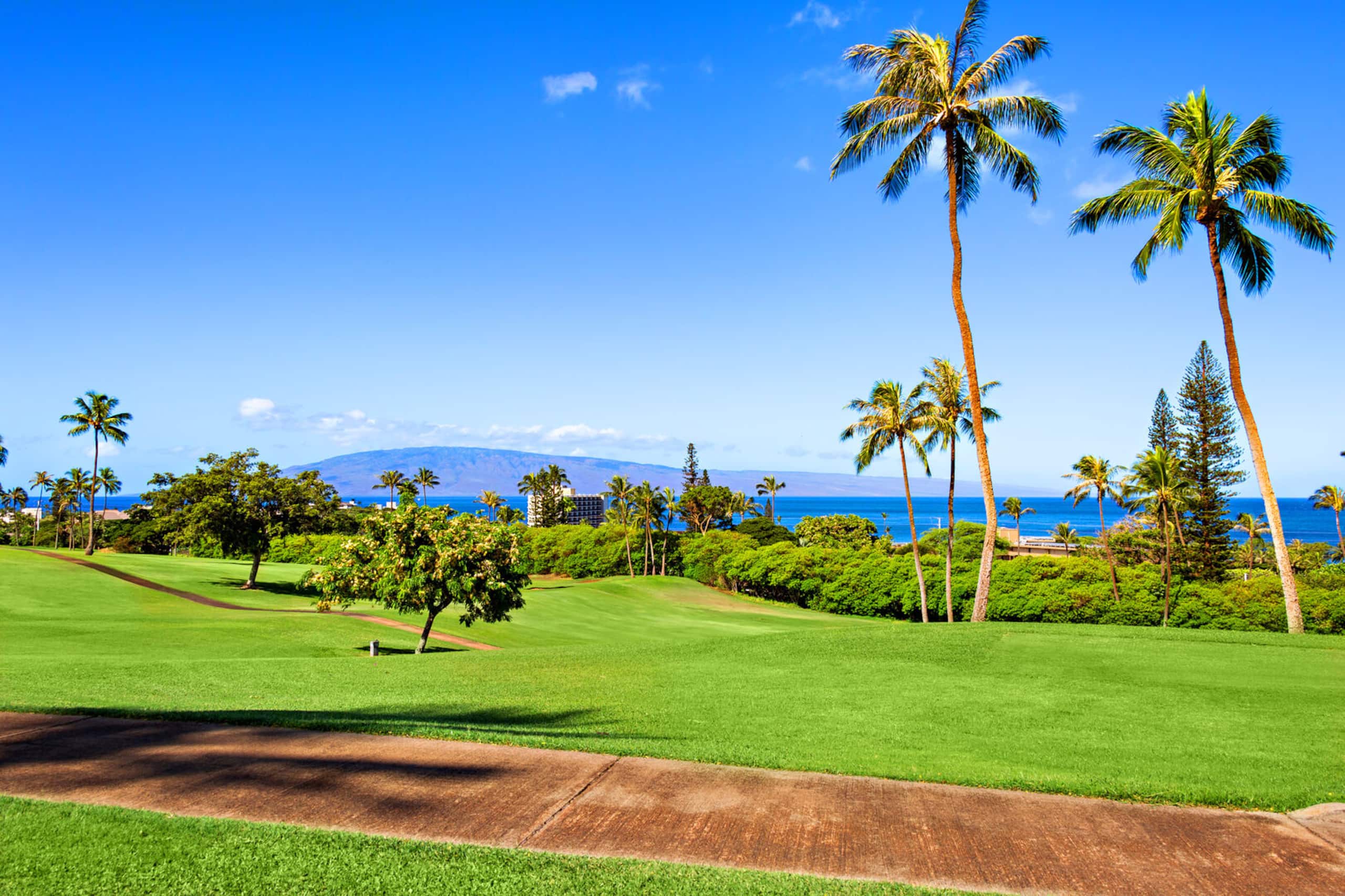 Condo in Lahaina · ★4.82 · 2 bedrooms · 2 beds · 2 baths - Image 37