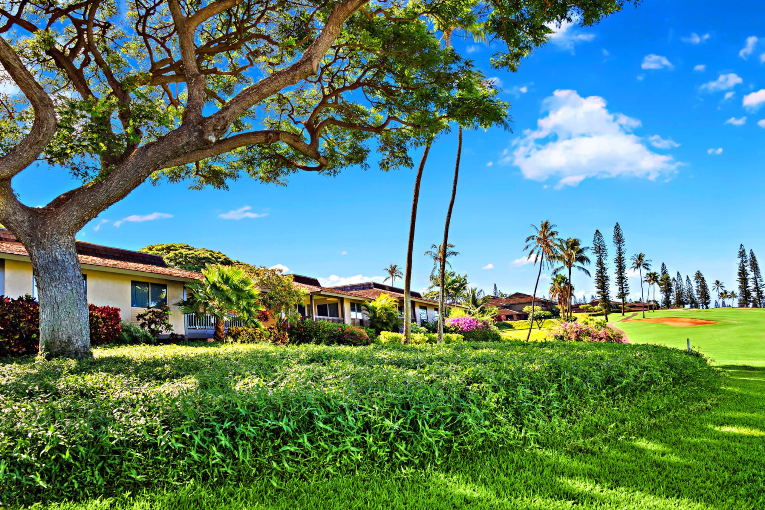 Condo in Lahaina · ★4.82 · 2 bedrooms · 2 beds · 2 baths - Image 38