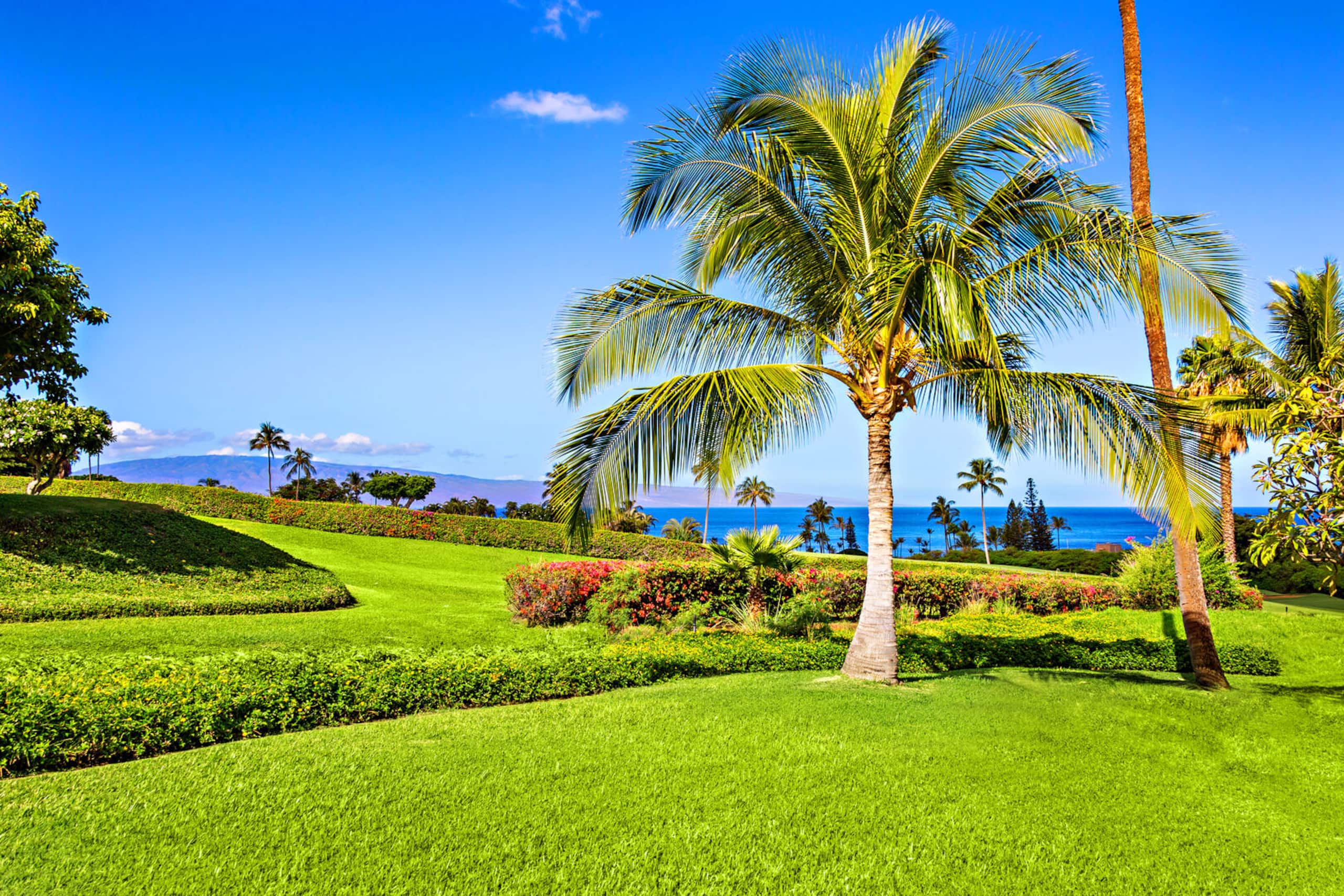 Condo in Lahaina · ★4.82 · 2 bedrooms · 2 beds · 2 baths - Image 33