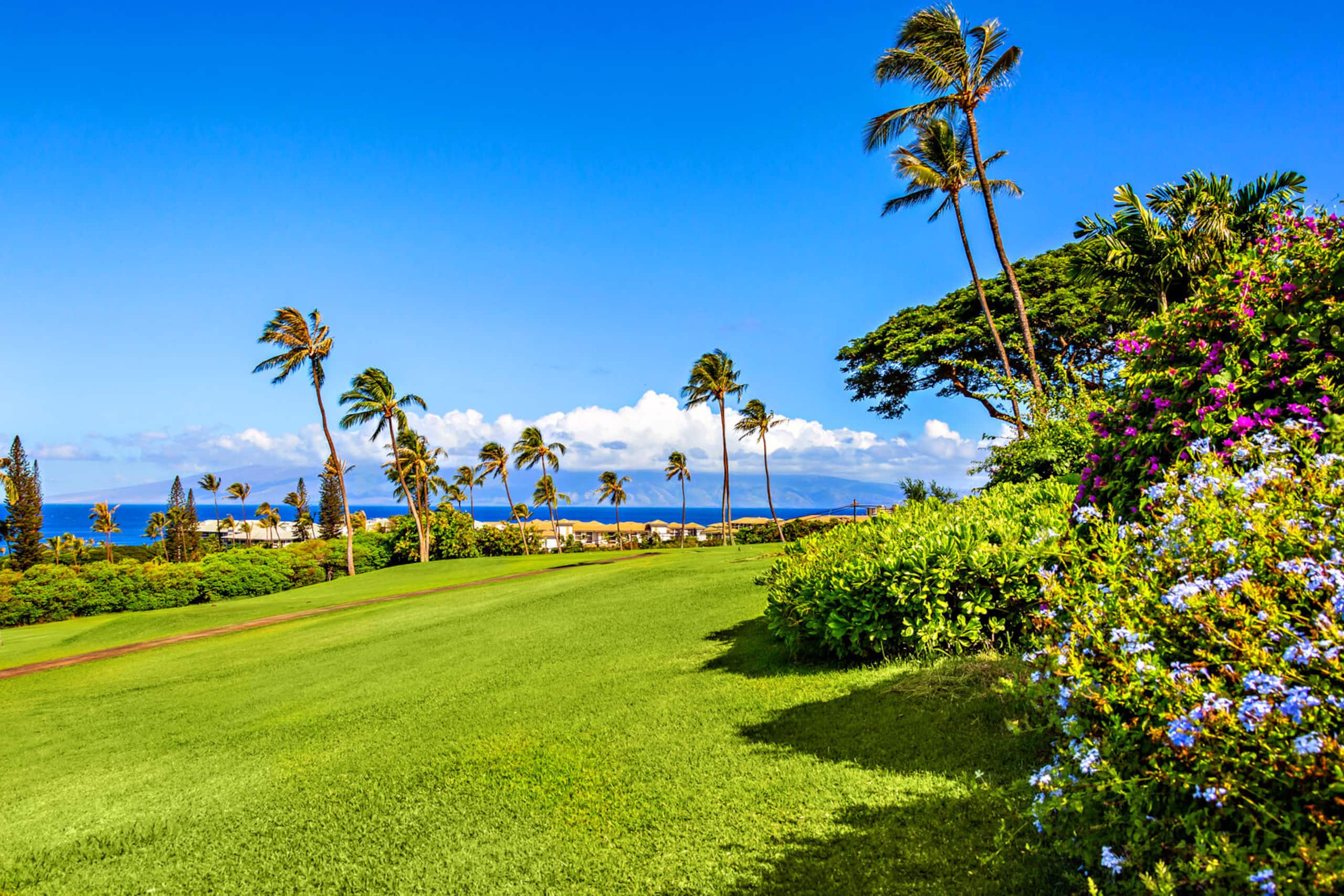 Condo in Lahaina · ★4.82 · 2 bedrooms · 2 beds · 2 baths - Image 34