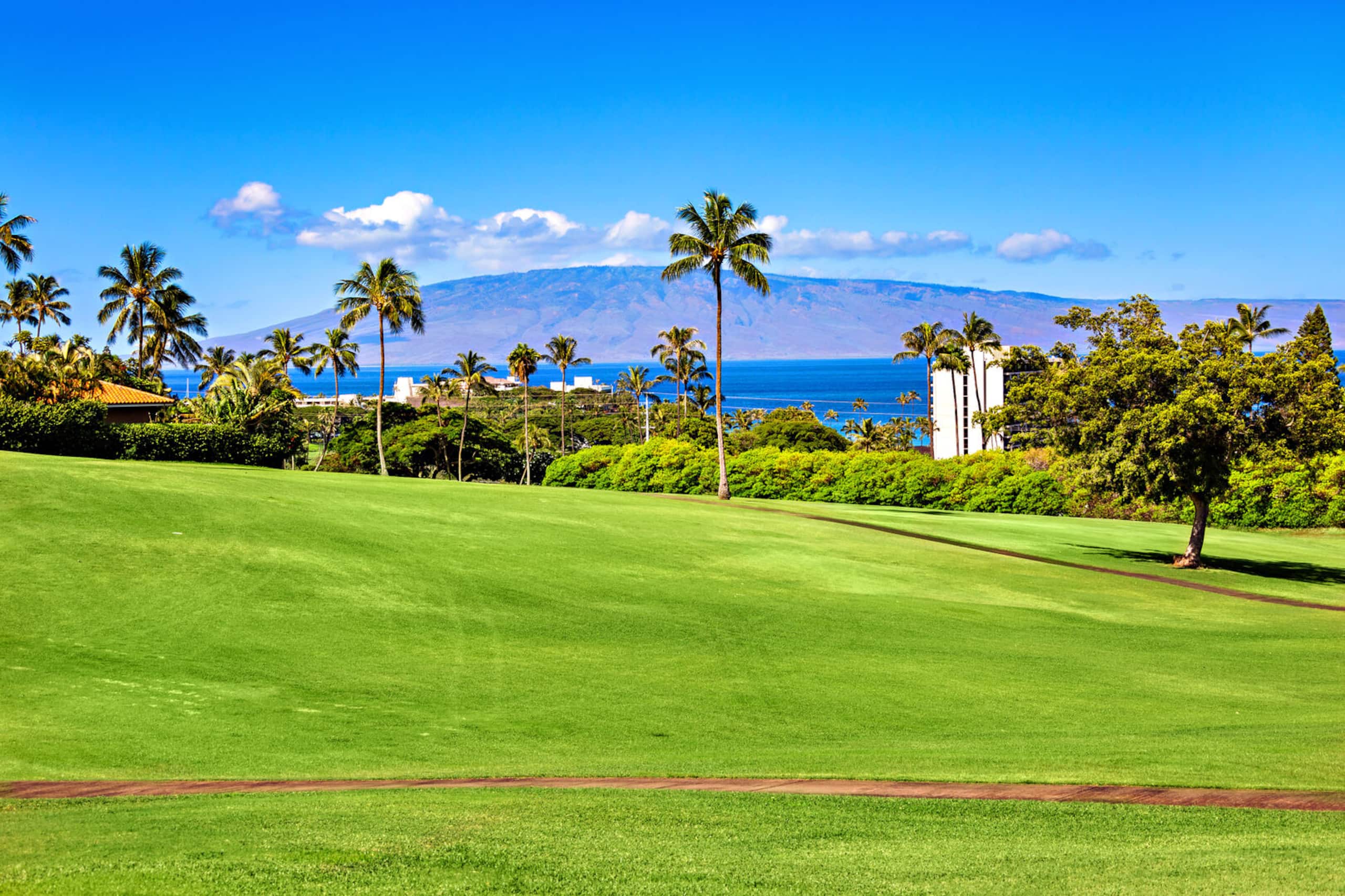 Condo in Lahaina · ★4.82 · 2 bedrooms · 2 beds · 2 baths - Image 31