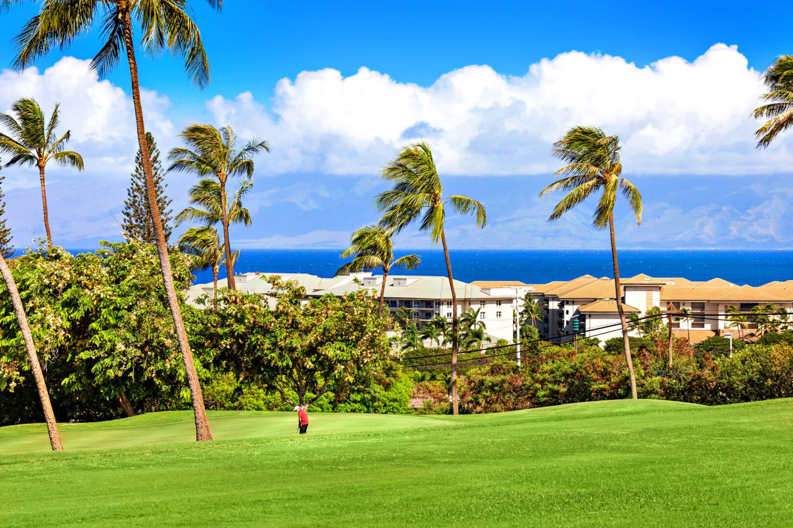 Condo in Lahaina · ★4.82 · 2 bedrooms · 2 beds · 2 baths - Image 35