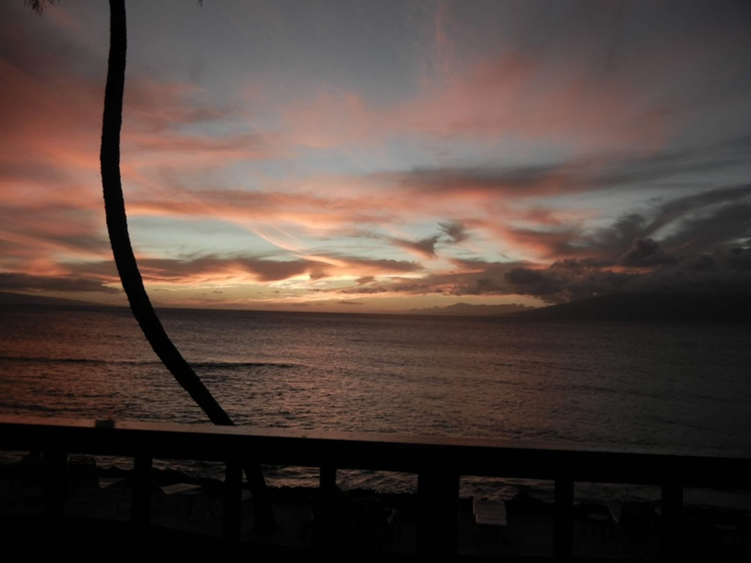 Condo in Lahaina · ★4.78 · 1 bedroom · 1 bed · 1 bath - Image 46