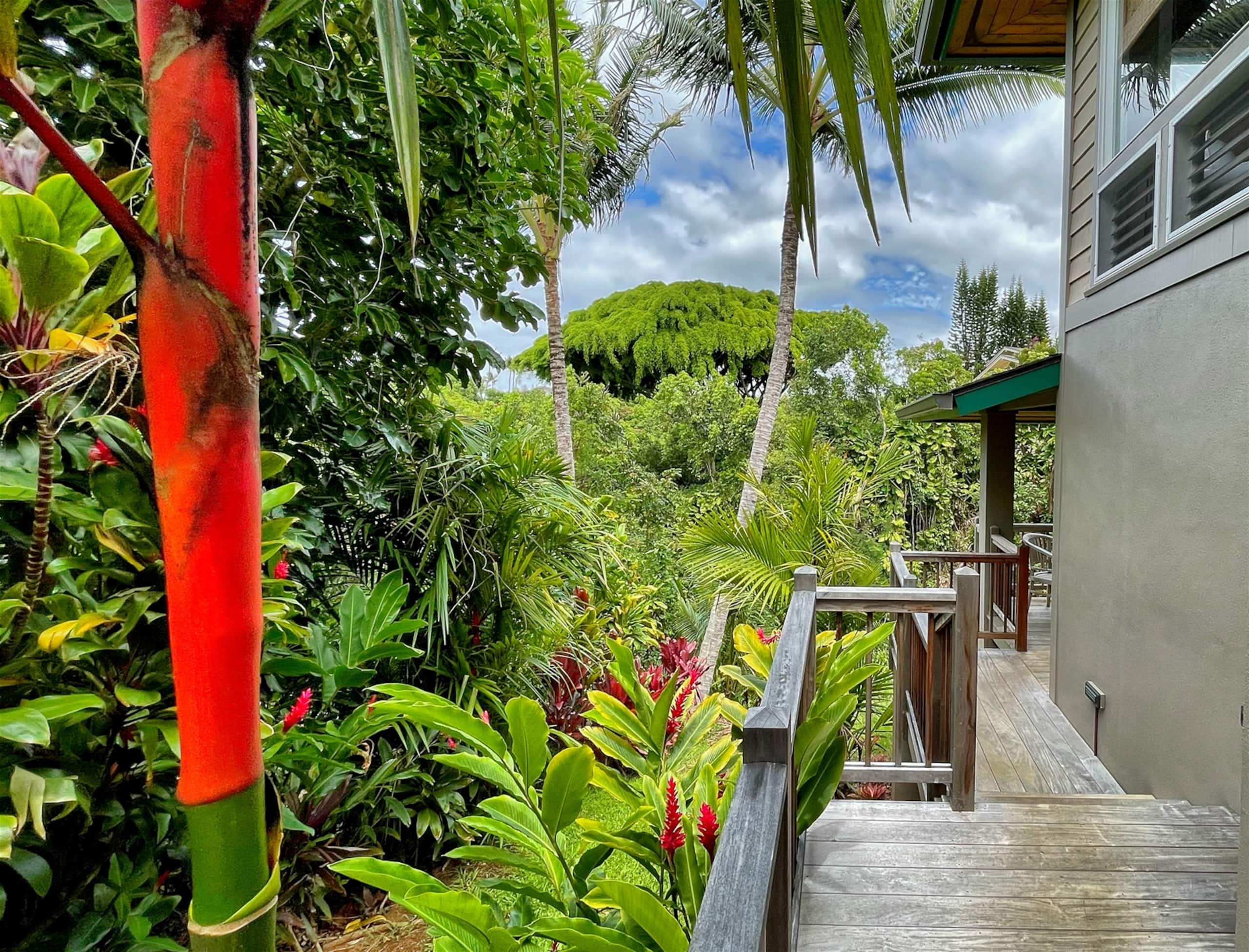 Home in Princeville · ★4.99 · 1 bedroom · 1 bed · 1 bath - Image 15