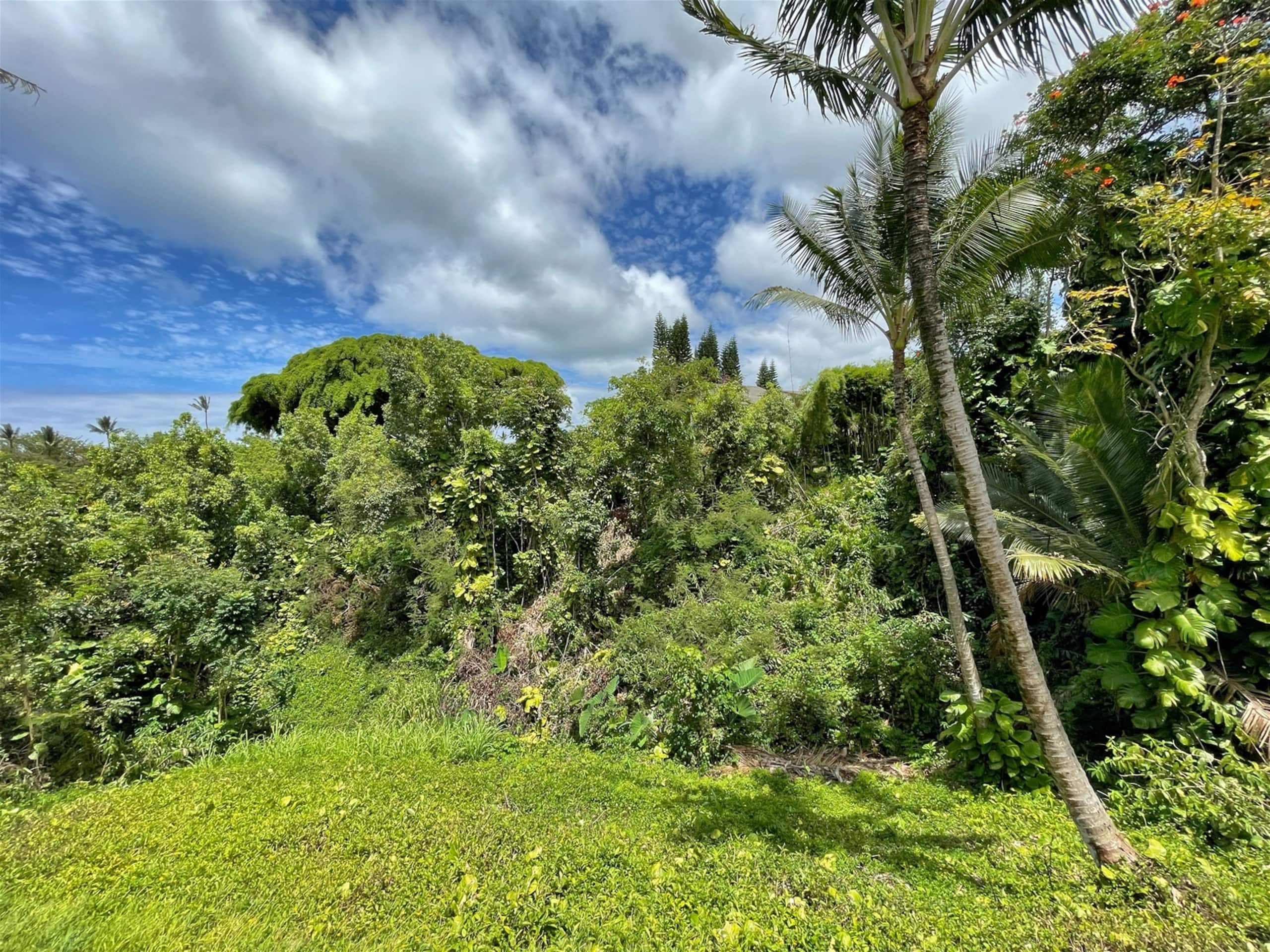 Home in Princeville · ★4.99 · 1 bedroom · 1 bed · 1 bath - Image 33