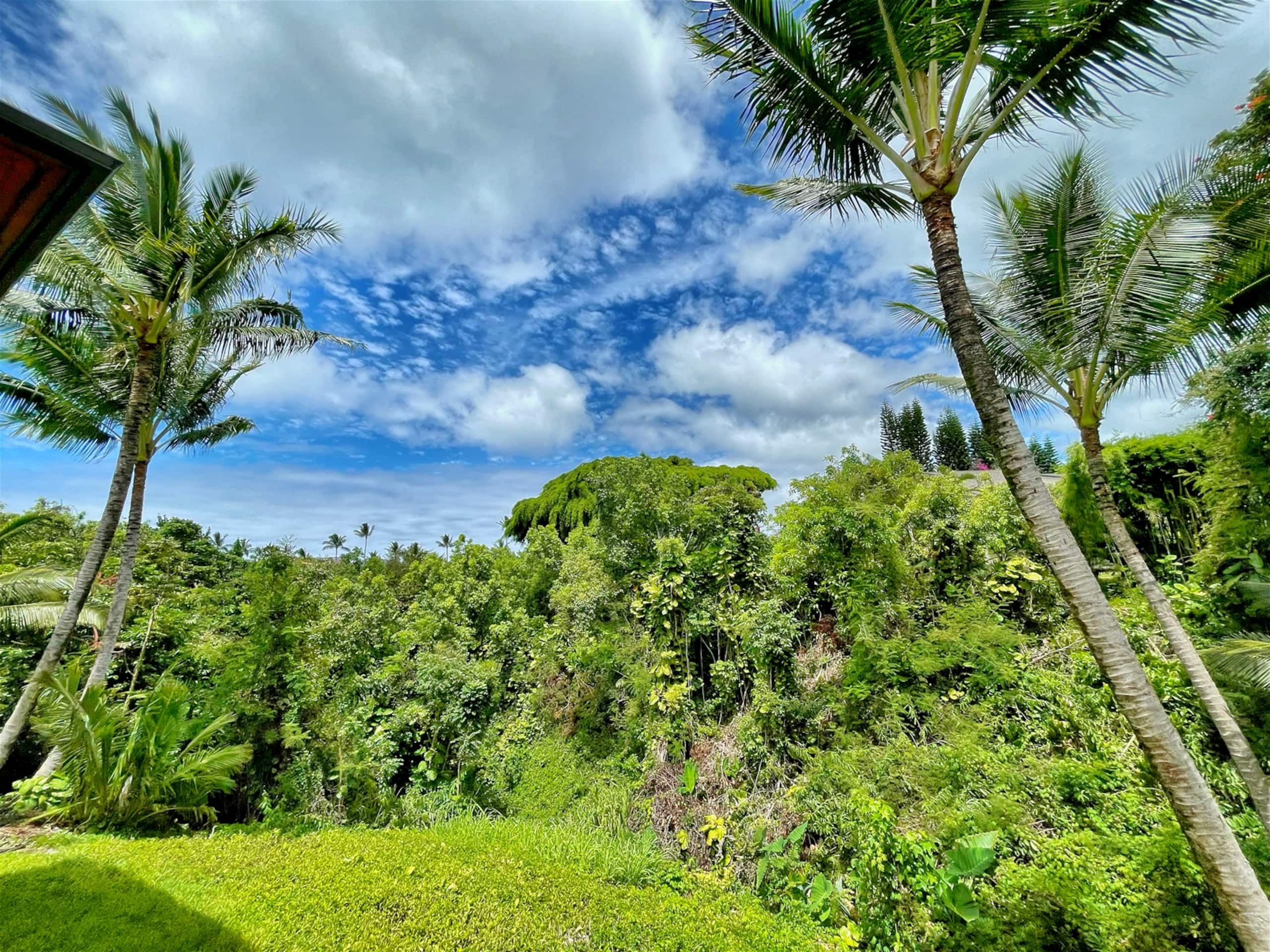 Home in Princeville · ★4.99 · 1 bedroom · 1 bed · 1 bath - Image 8
