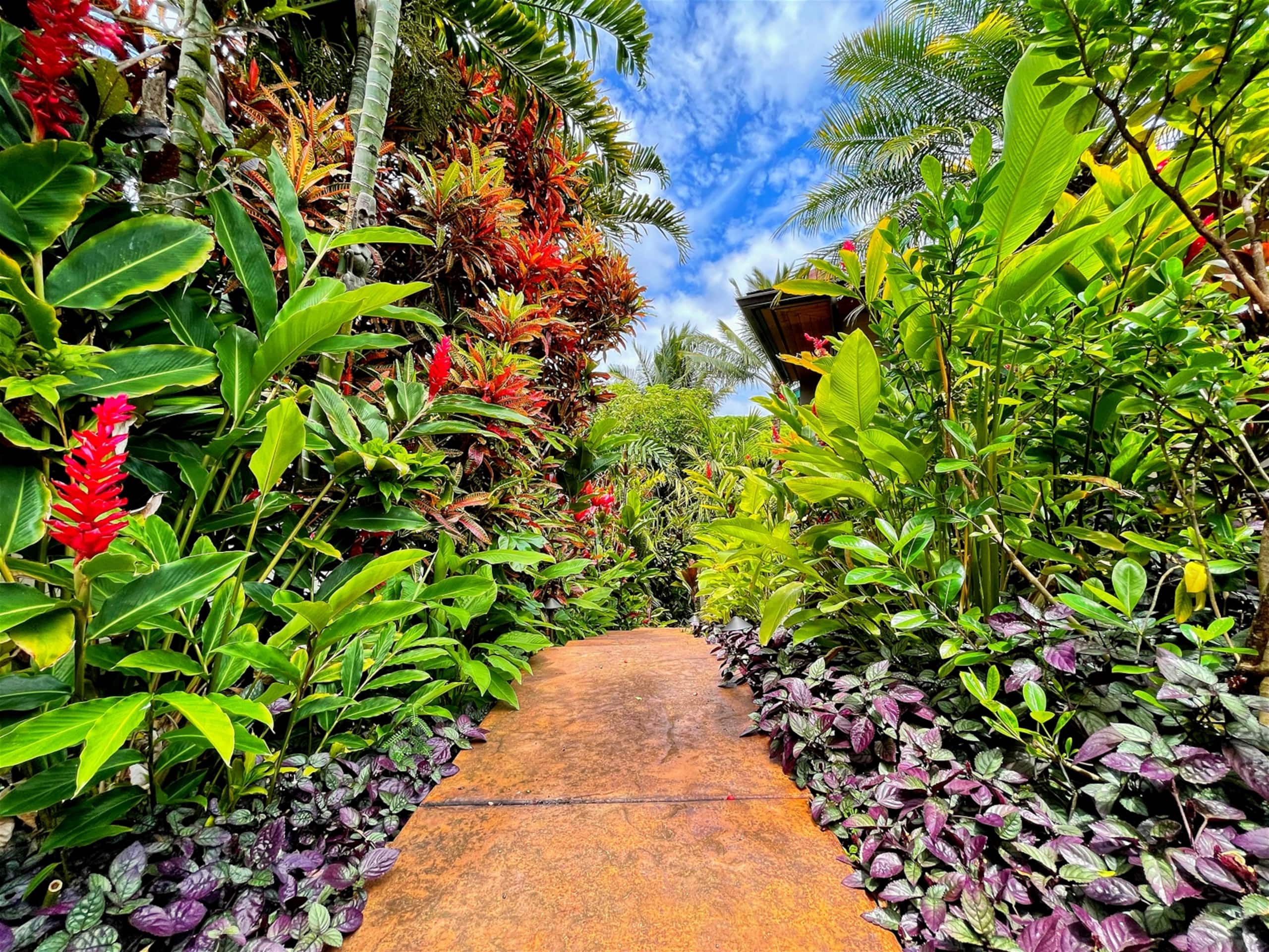 Home in Princeville · ★4.99 · 1 bedroom · 1 bed · 1 bath - Image 14