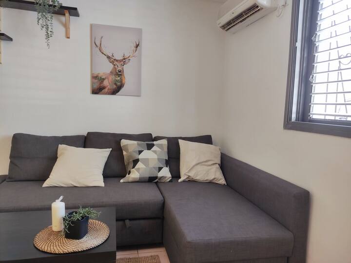 ️ Affordable great Studio near the beach Apartments for Rent in Tel