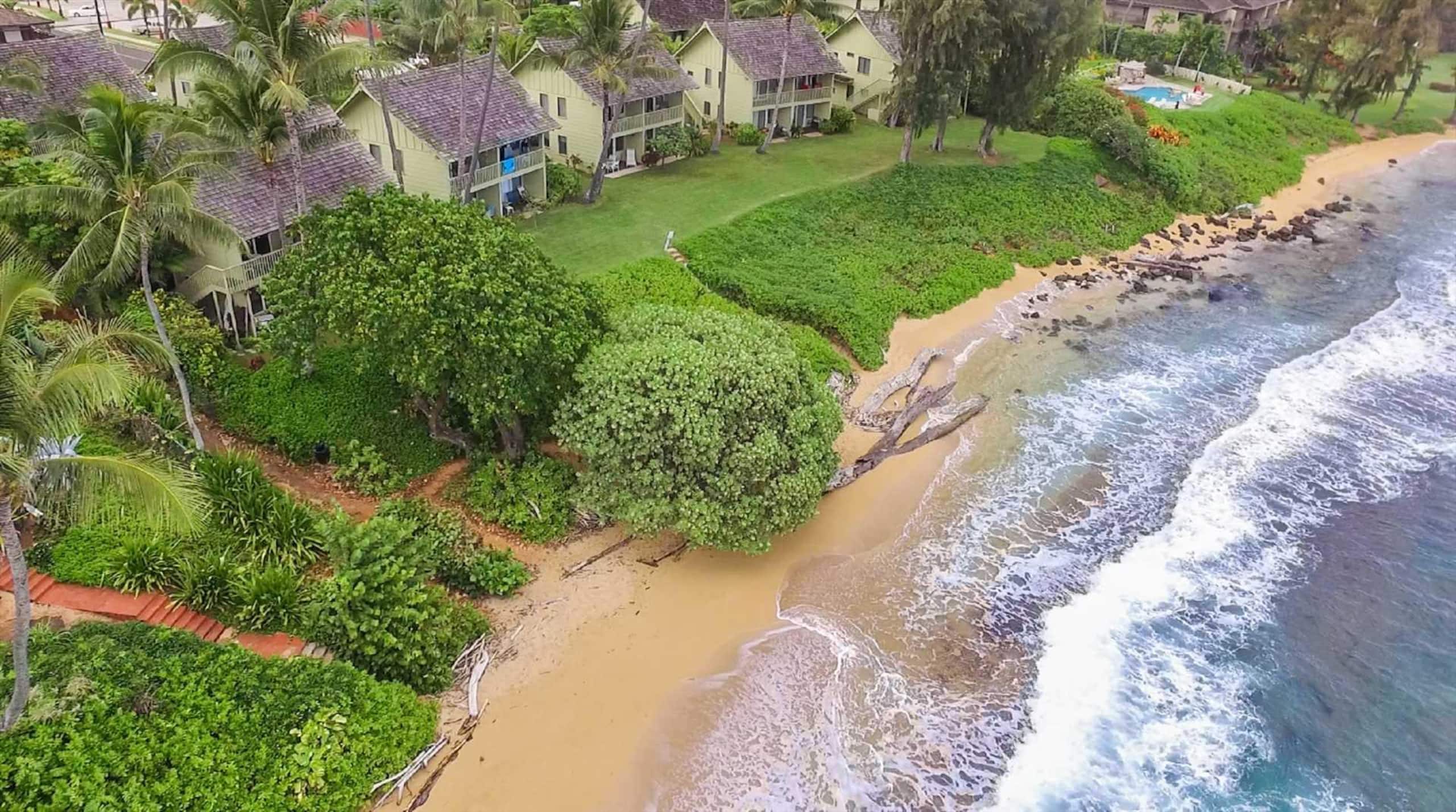 Kapaa Sands Unit 19 Studio With Ocean View - Photo 29
