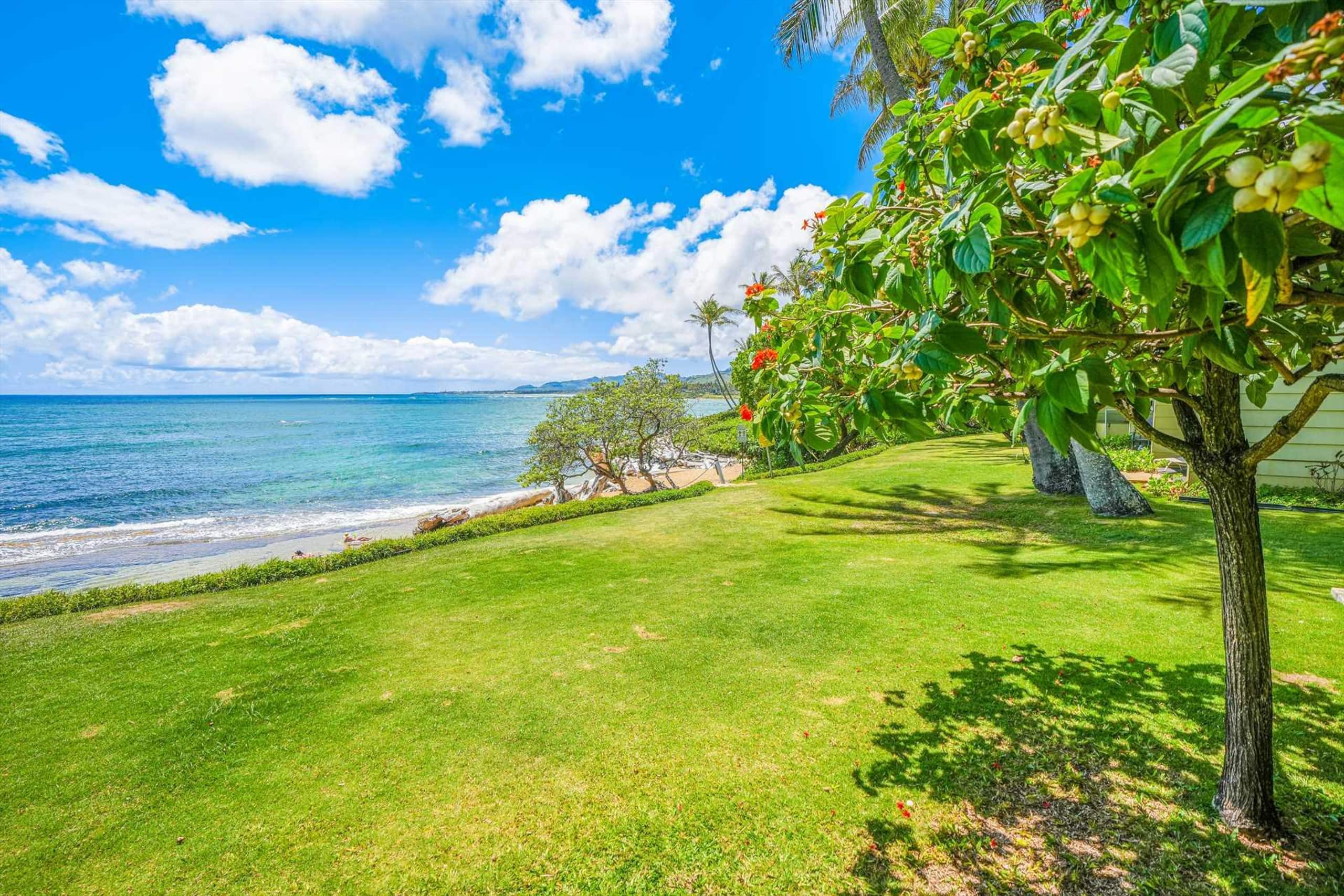Kapaa Sands Unit 19 Studio With Ocean View - Photo 22