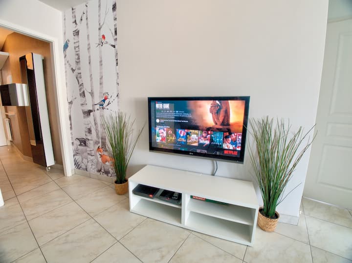 L'exotique * 2 Chambres * Netflix * - Montigny-lès-Metz