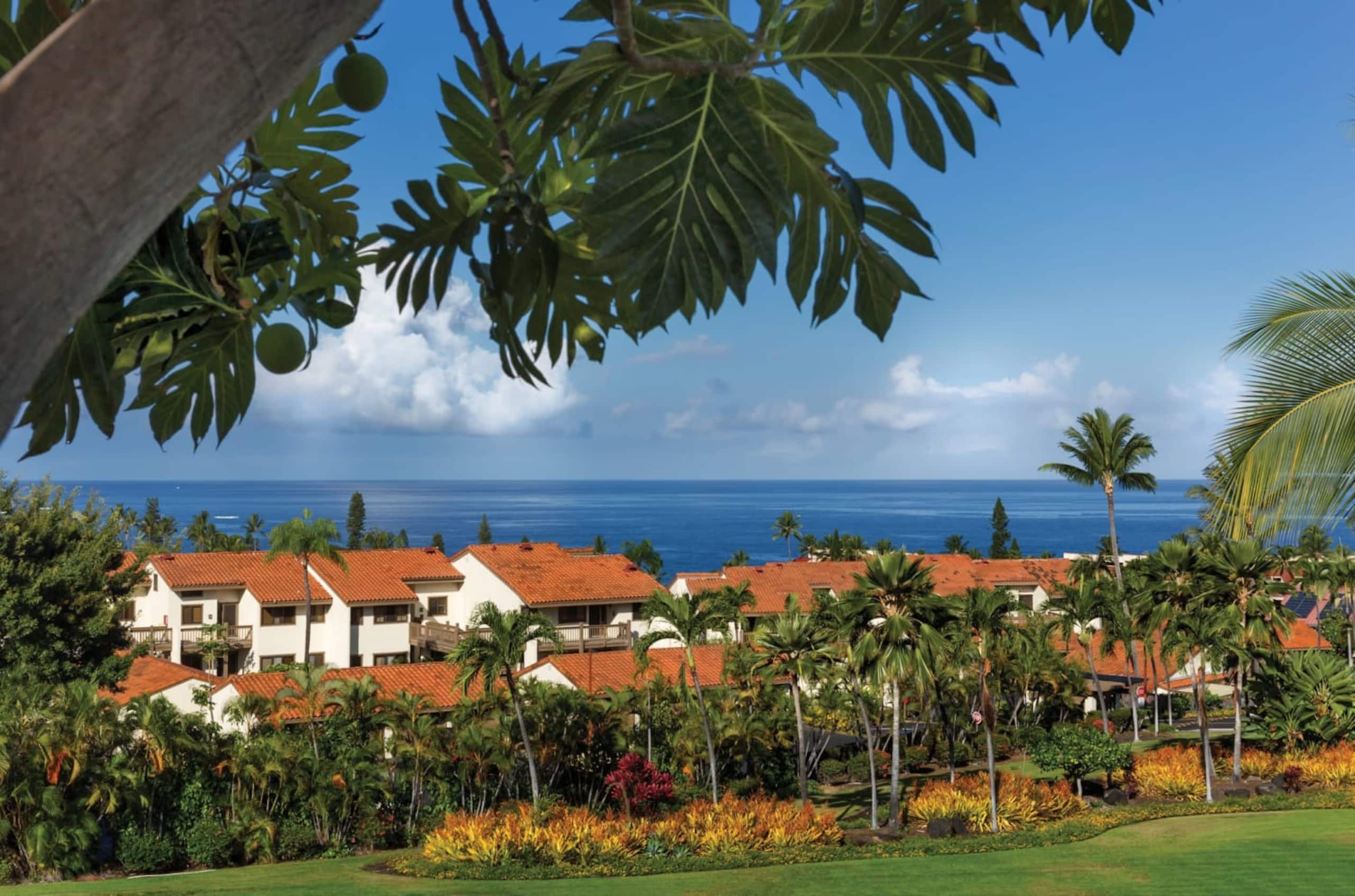 Condo in Kailua-Kona · ★5.0 · 2 bedrooms · 4 beds · 1 private bath - Image 24