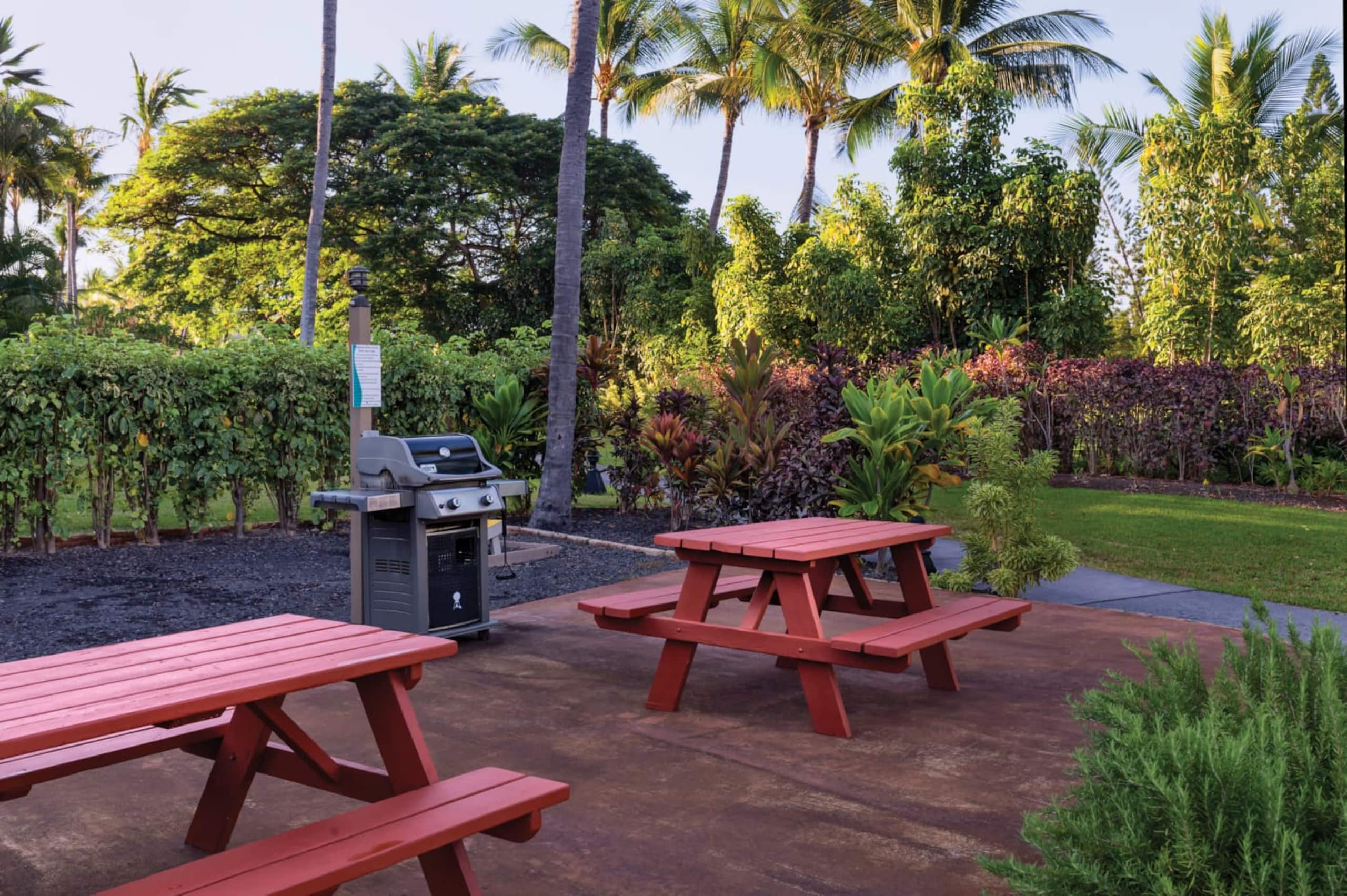 Condo in Kailua-Kona · ★5.0 · 2 bedrooms · 4 beds · 1 private bath - Image 42