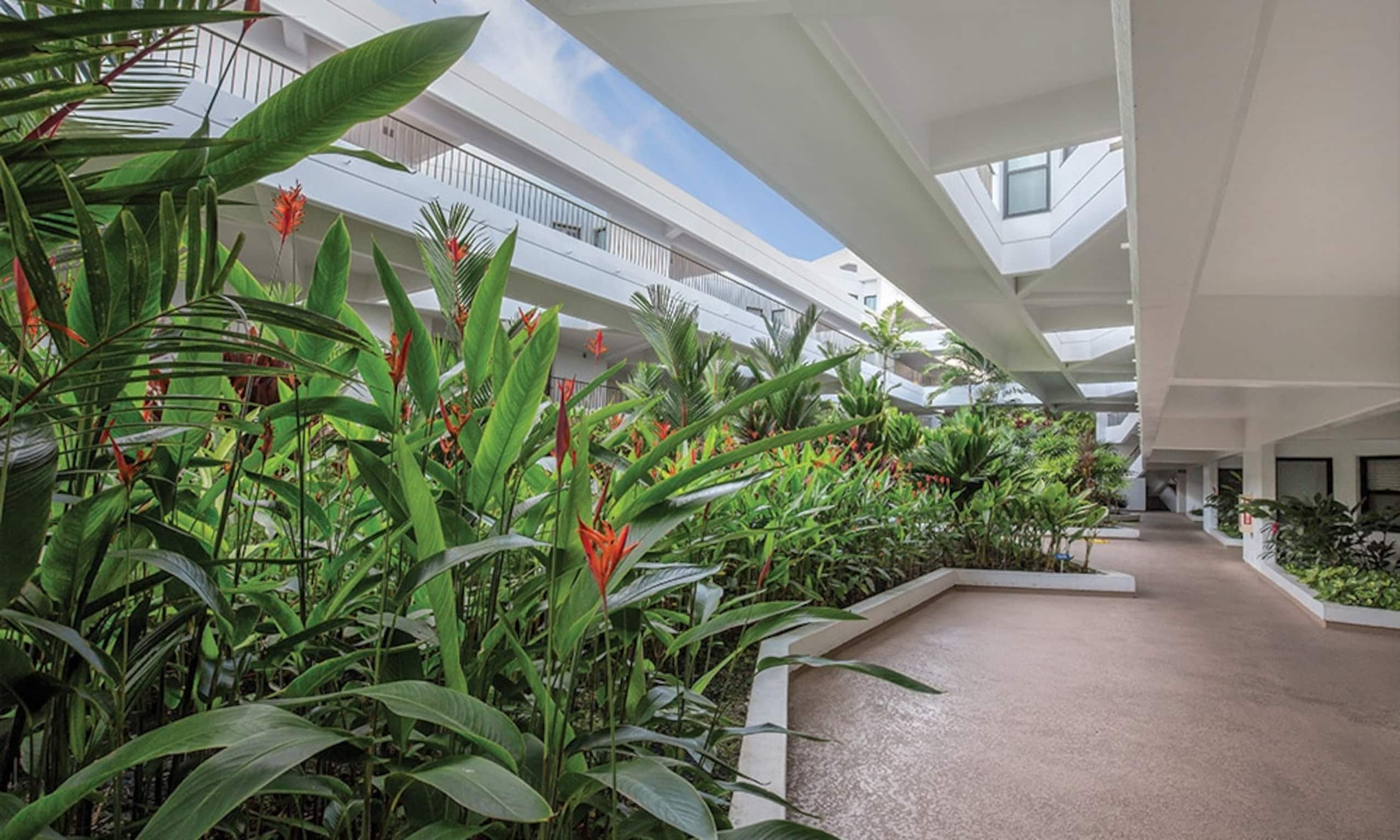 Condo in Kailua-Kona · ★4.89 · 2 bedrooms · 3 beds · 2 private baths - Image 26