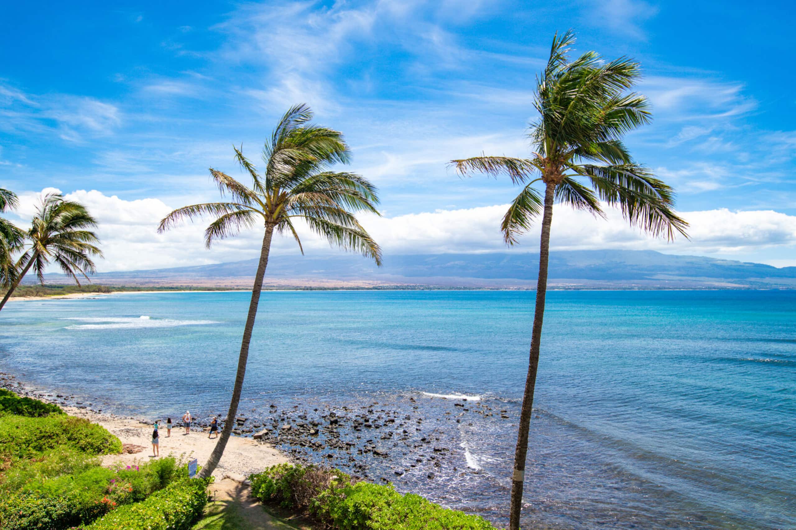Condo in Wailuku · ★4.65 · 2 bedrooms · 3 beds · 2 baths - Image 3