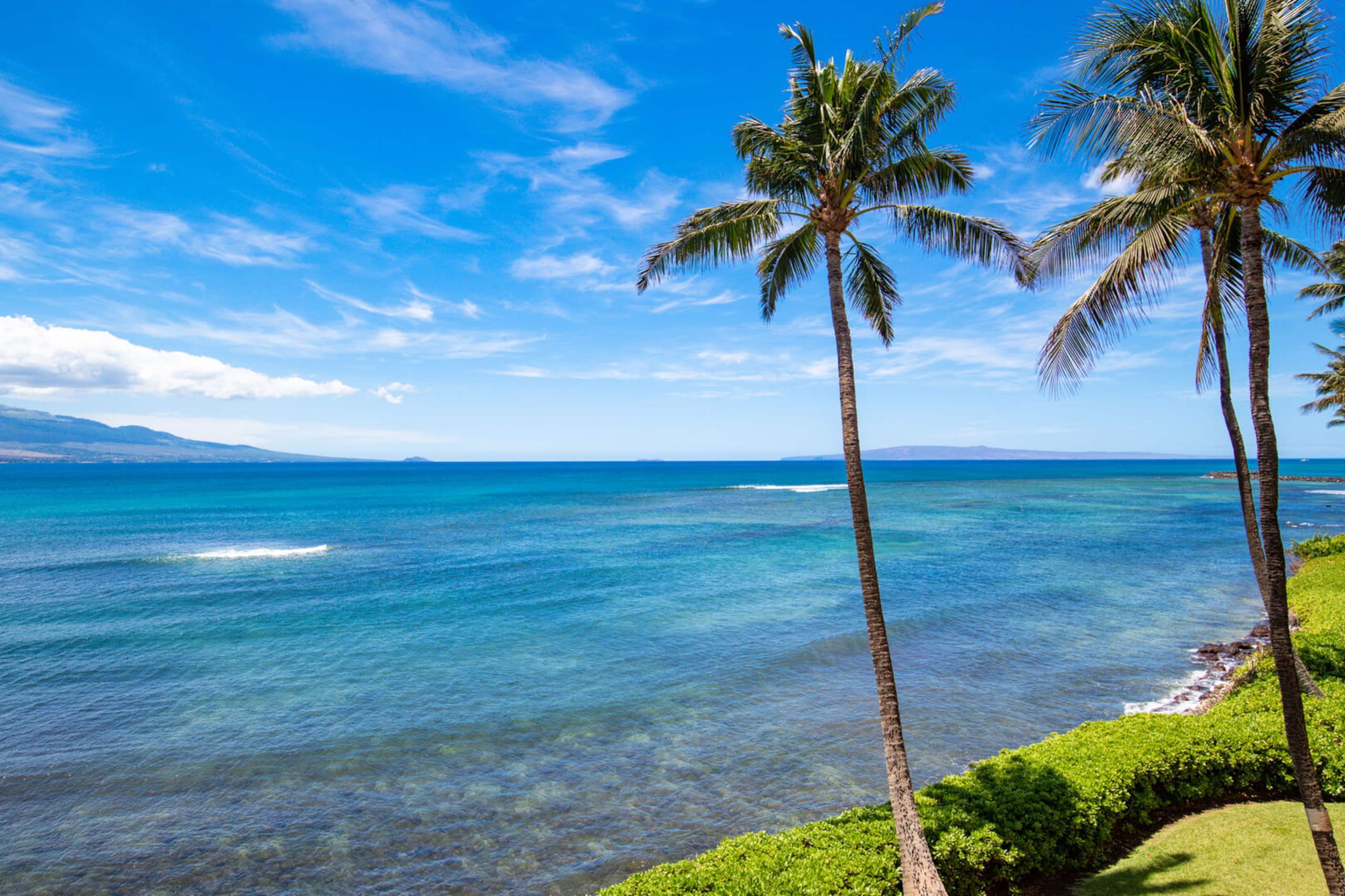 Condo in Wailuku · ★4.65 · 2 bedrooms · 3 beds · 2 baths - Image 4
