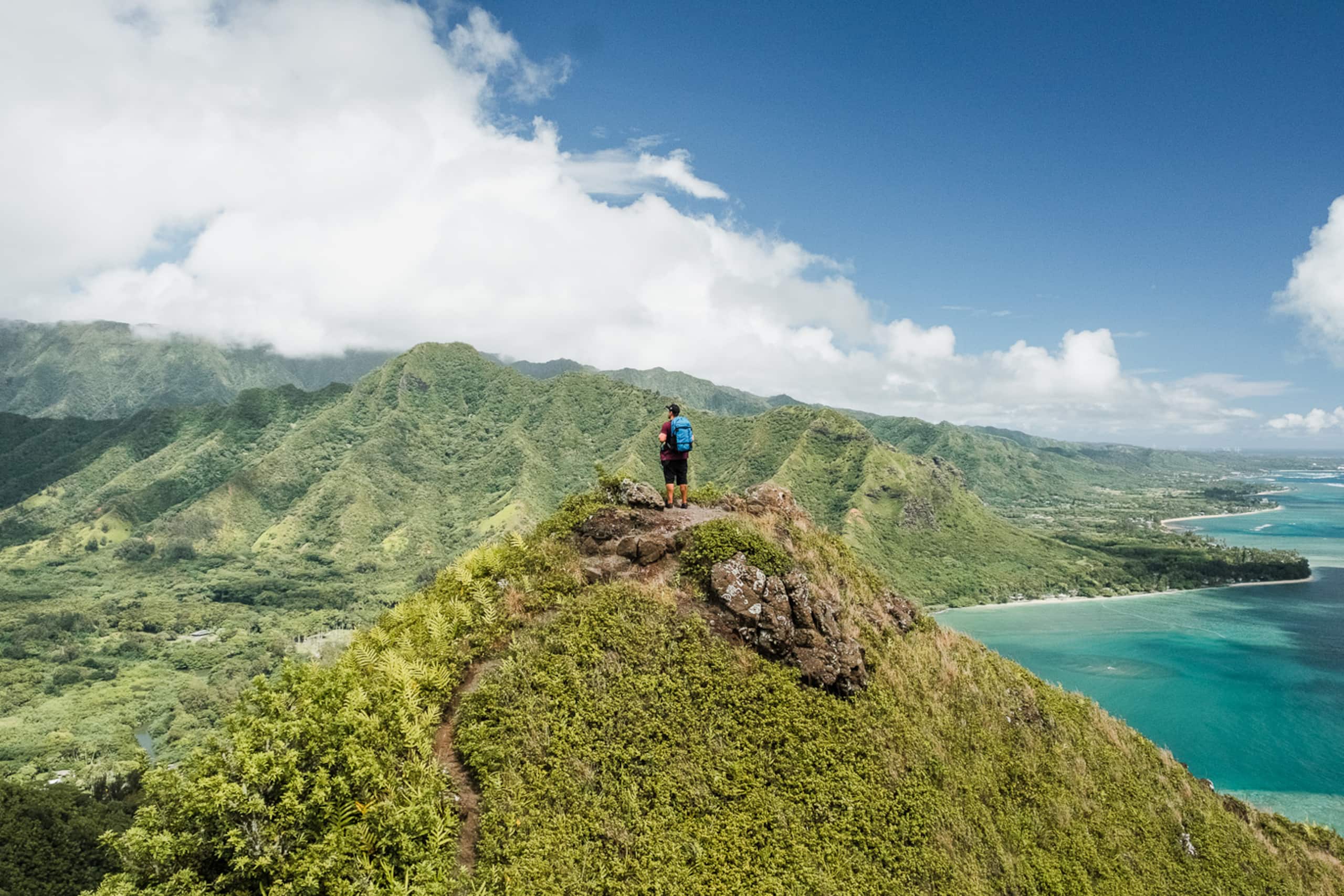 Hotel in Honolulu · ★4.71 · 1 bedroom · 1 private bath - Image 10