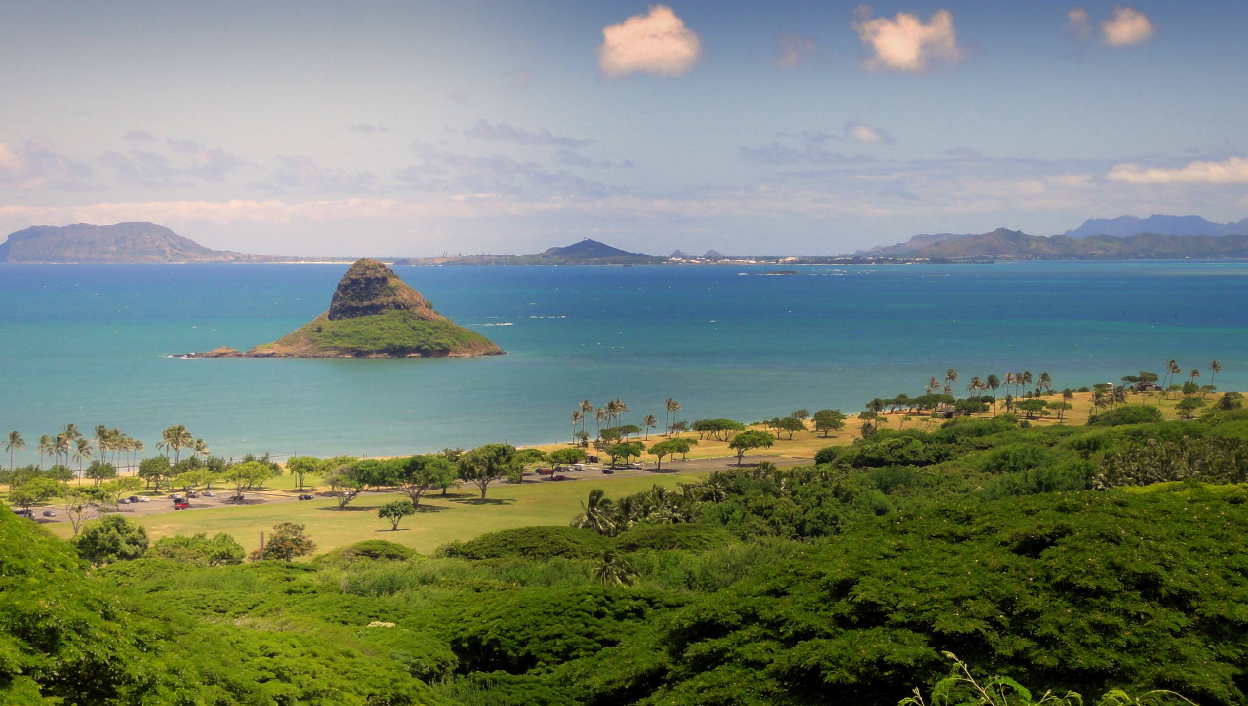 Hotel in Honolulu · ★4.71 · 1 bedroom · 1 private bath - Image 11