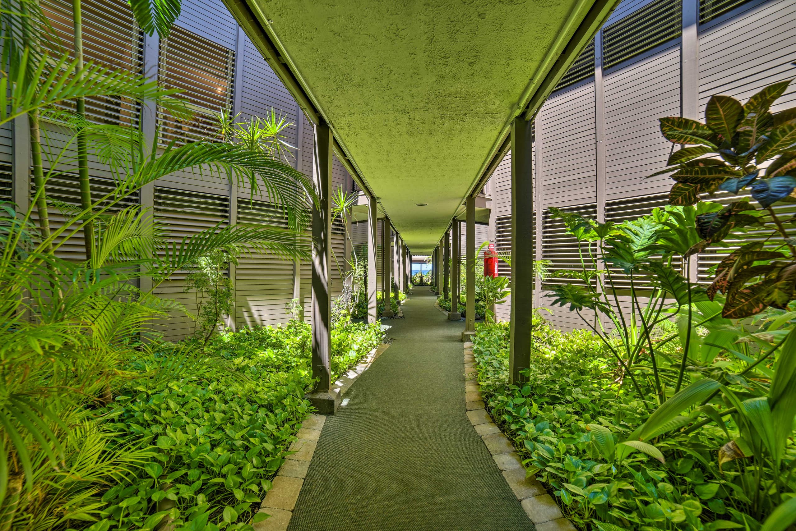 Condo in Kihei · ★4.33 · 2 bedrooms · 3 beds · 2 baths - Image 25