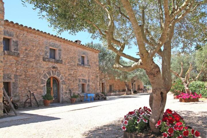 Apto dos dormitorios y terraza B gallery image 2