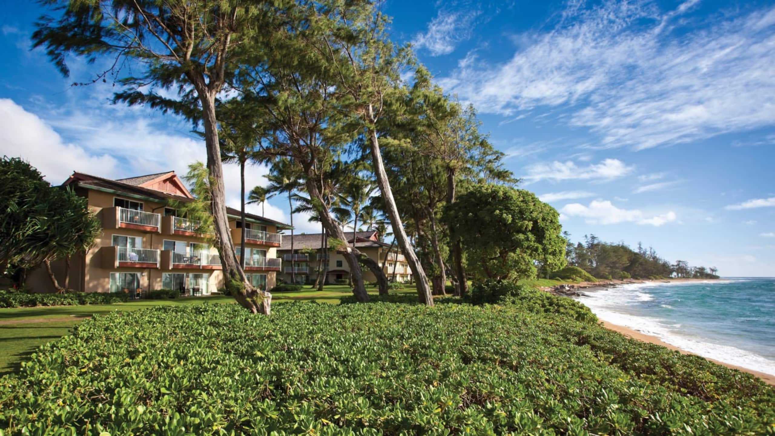 Condo in Kapaa · ★5.0 · 1 bedroom · 2 beds · 1 private bath - Image 32