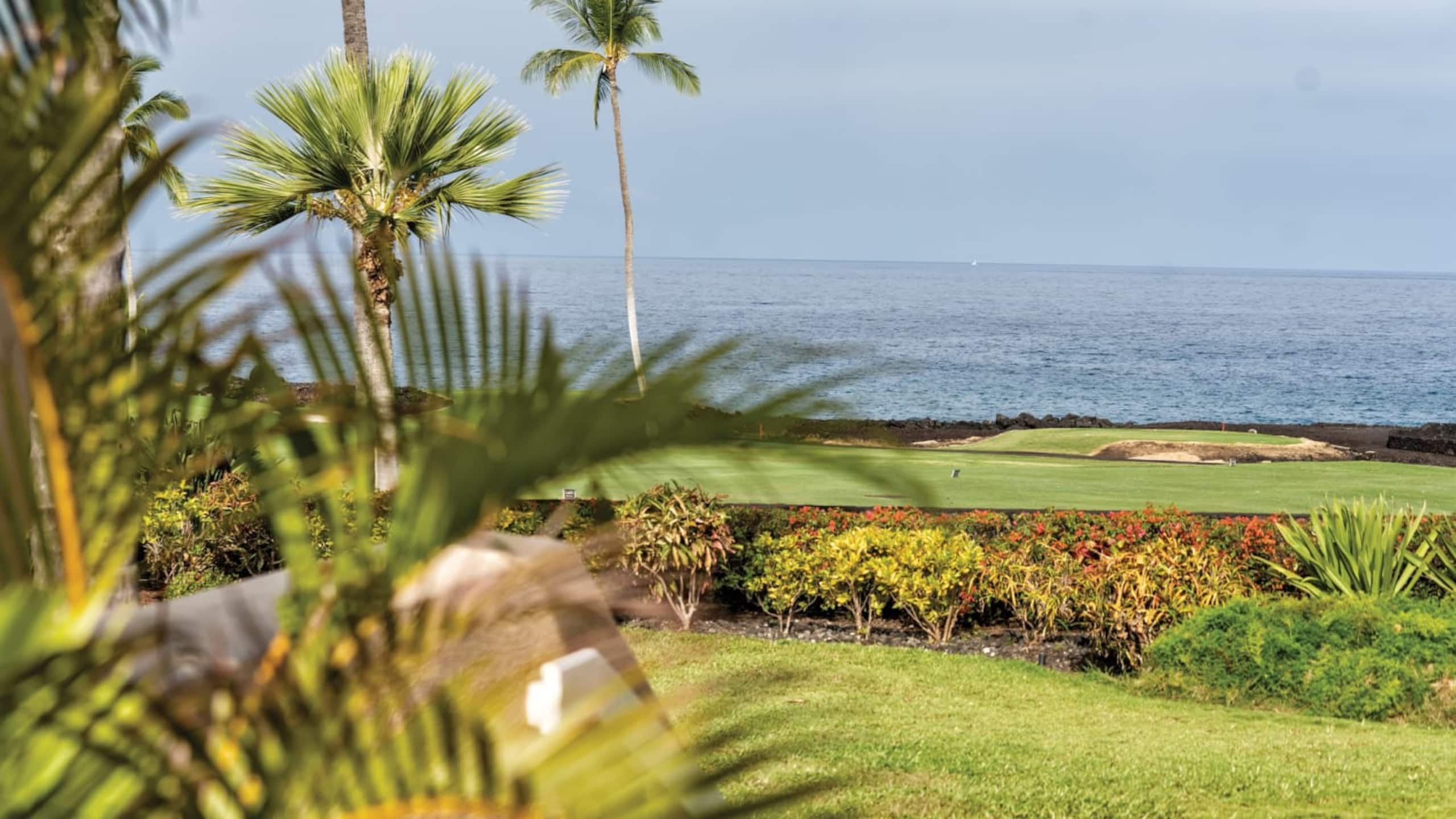 Condo in Kapaa · ★5.0 · 1 bedroom · 2 beds · 1 private bath - Image 4