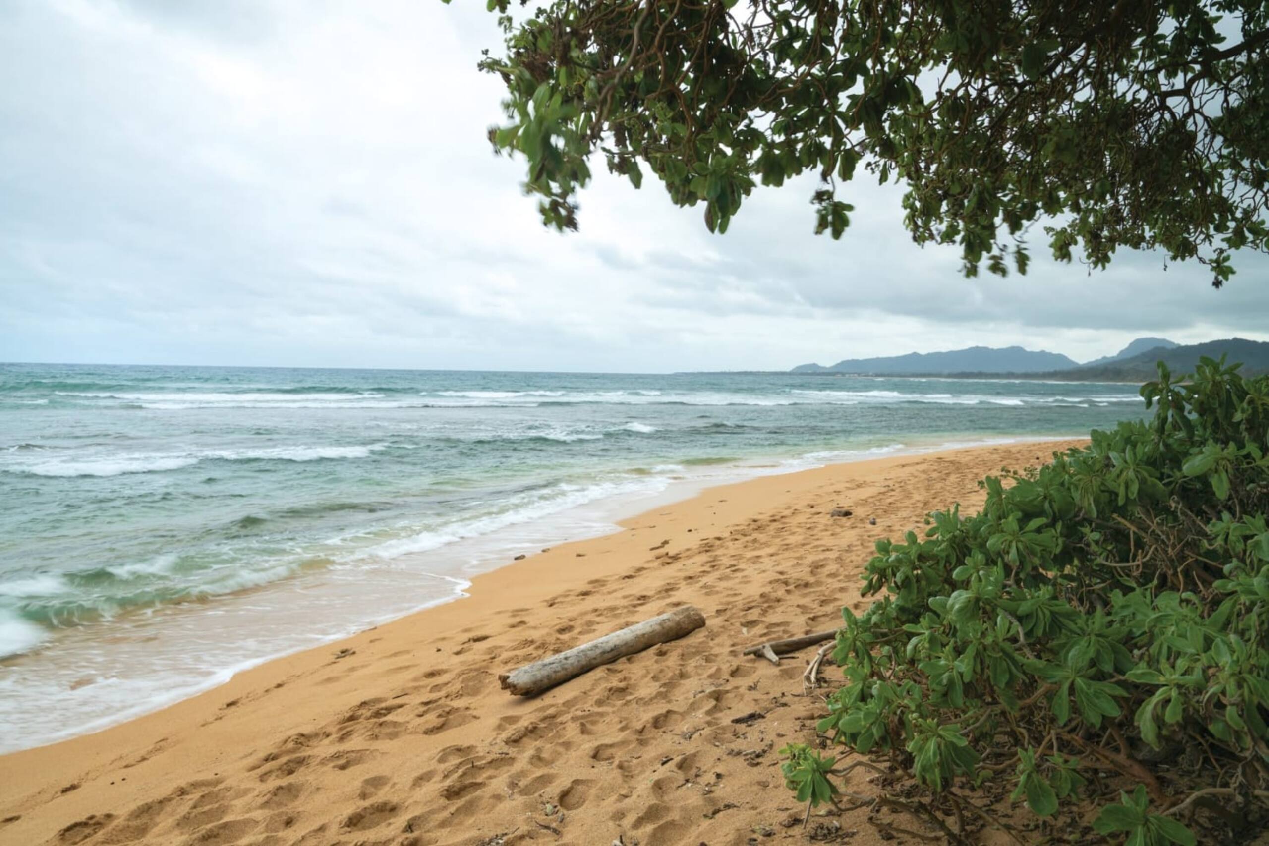 Condo in Kapaa · ★5.0 · 1 bedroom · 2 beds · 1 private bath - Image 25