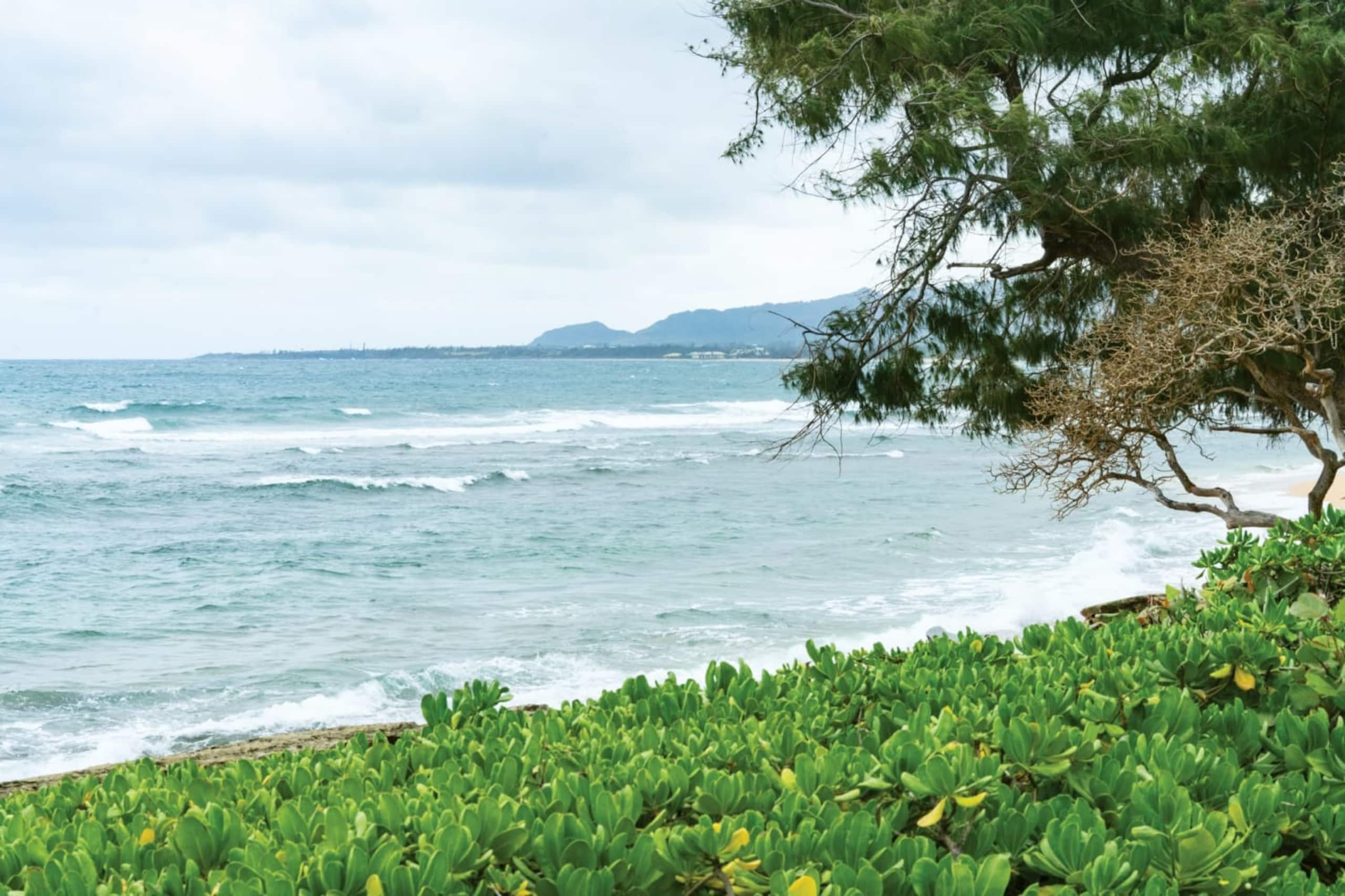 Condo in Kapaa · ★5.0 · 1 bedroom · 2 beds · 1 private bath - Image 26