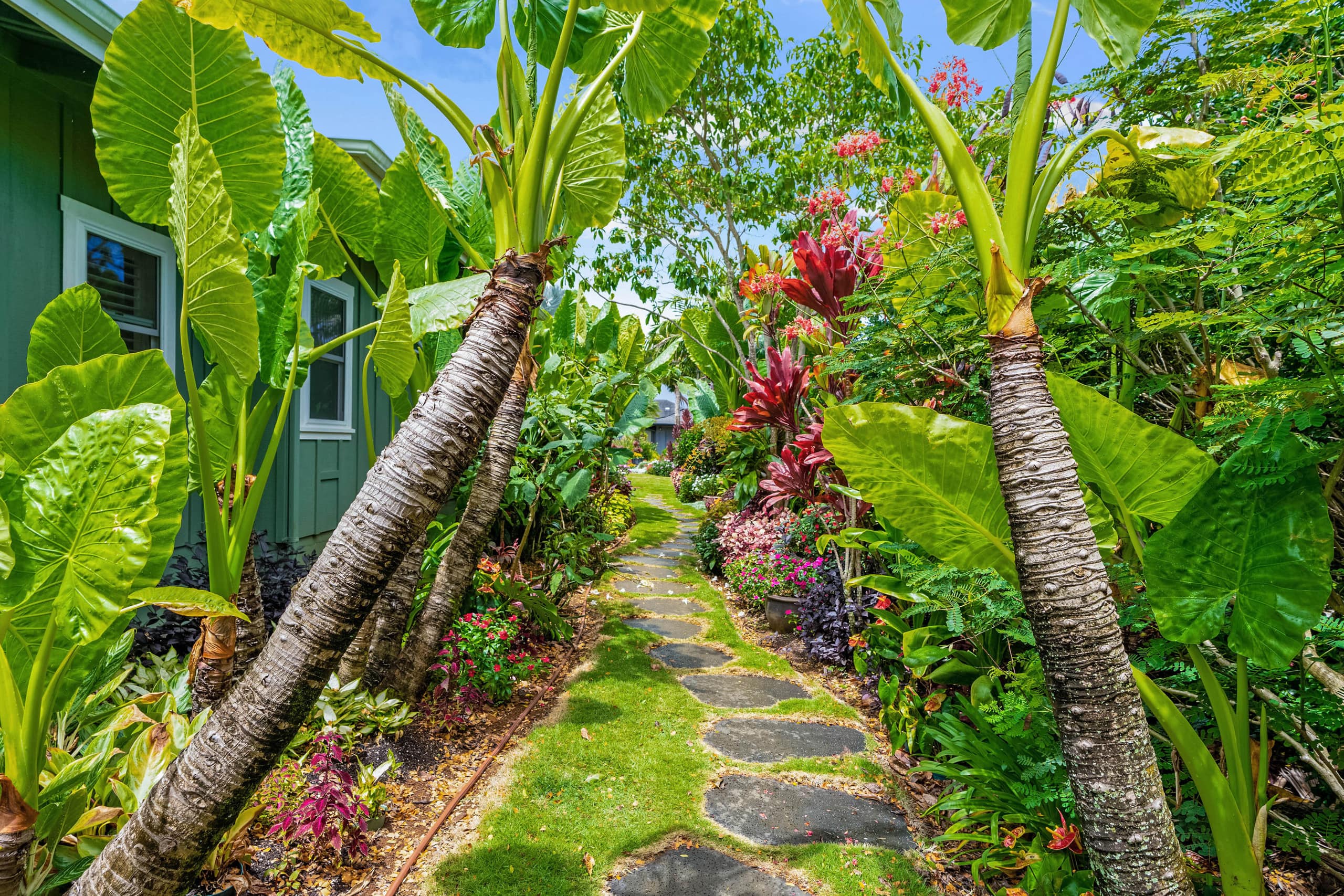 Hale Alaula, Elegant Hawaiian Home with A/C - Photo 47