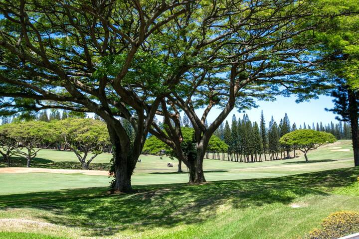 KBM Resorts | FREE CAR Kapalua Golf KGV-14P3 gallery image 3