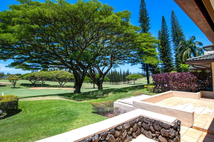 KBM Resorts | FREE CAR Kapalua Golf KGV-14P3 gallery image 2