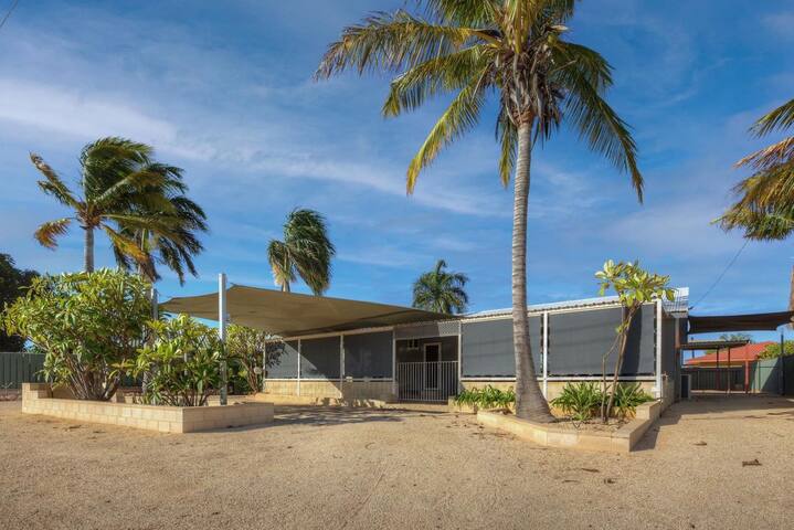 Billfish – Close to town and across from bushland