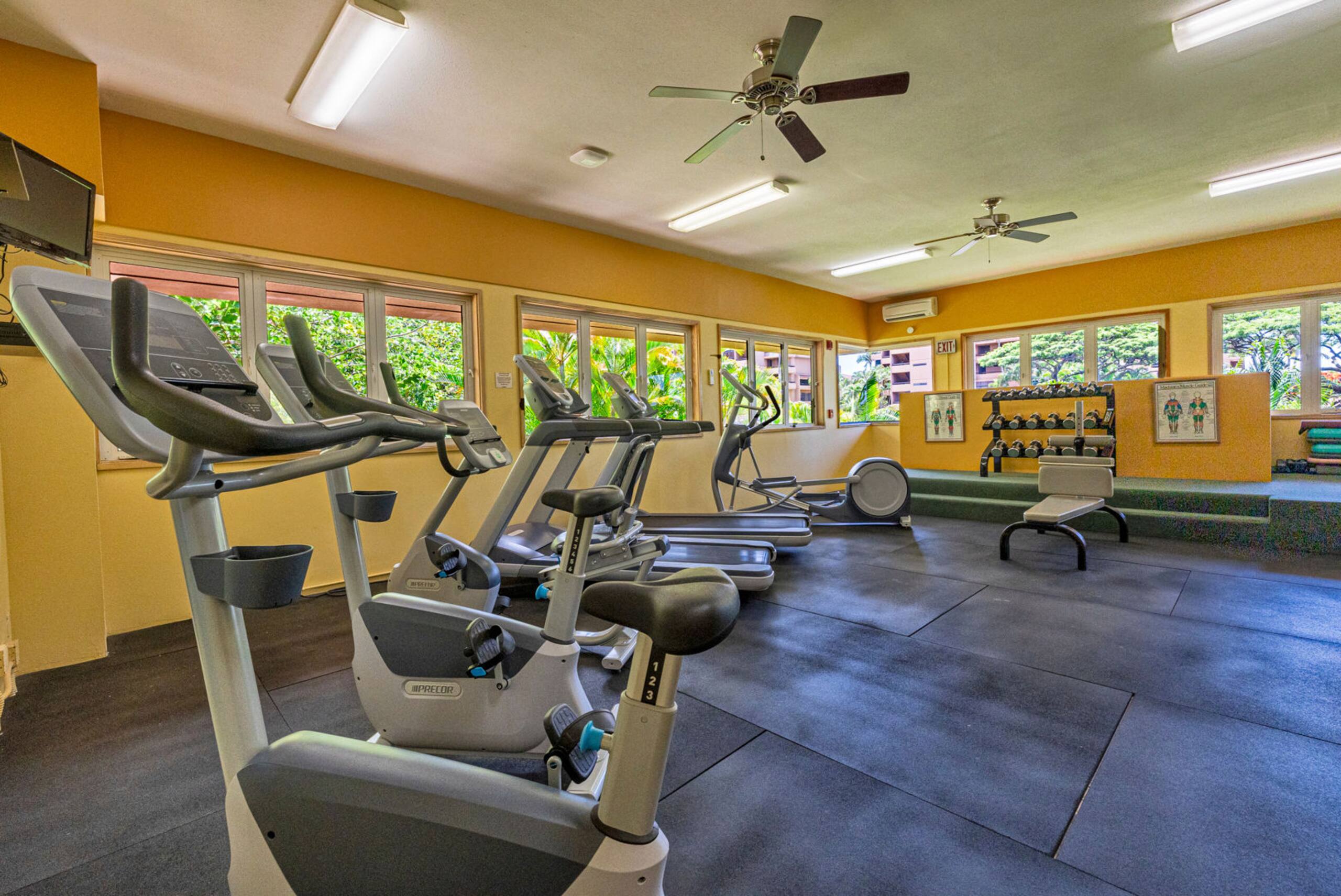 Condo in Lahaina · ★4.48 · 1 bedroom · 1 bed · 1 bath - Image 28