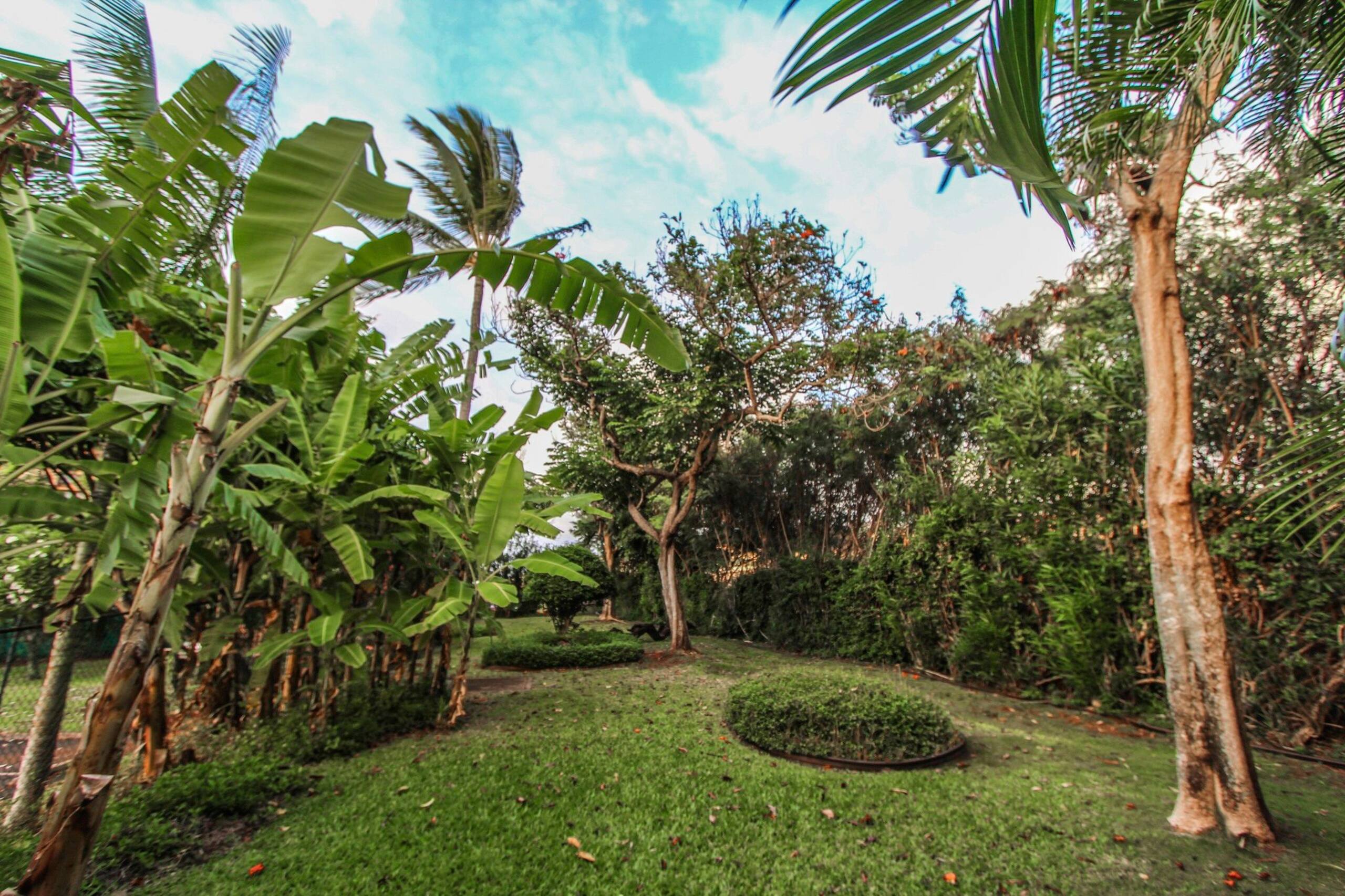 Condo in Lahaina · ★4.48 · 1 bedroom · 1 bed · 1 bath - Image 17