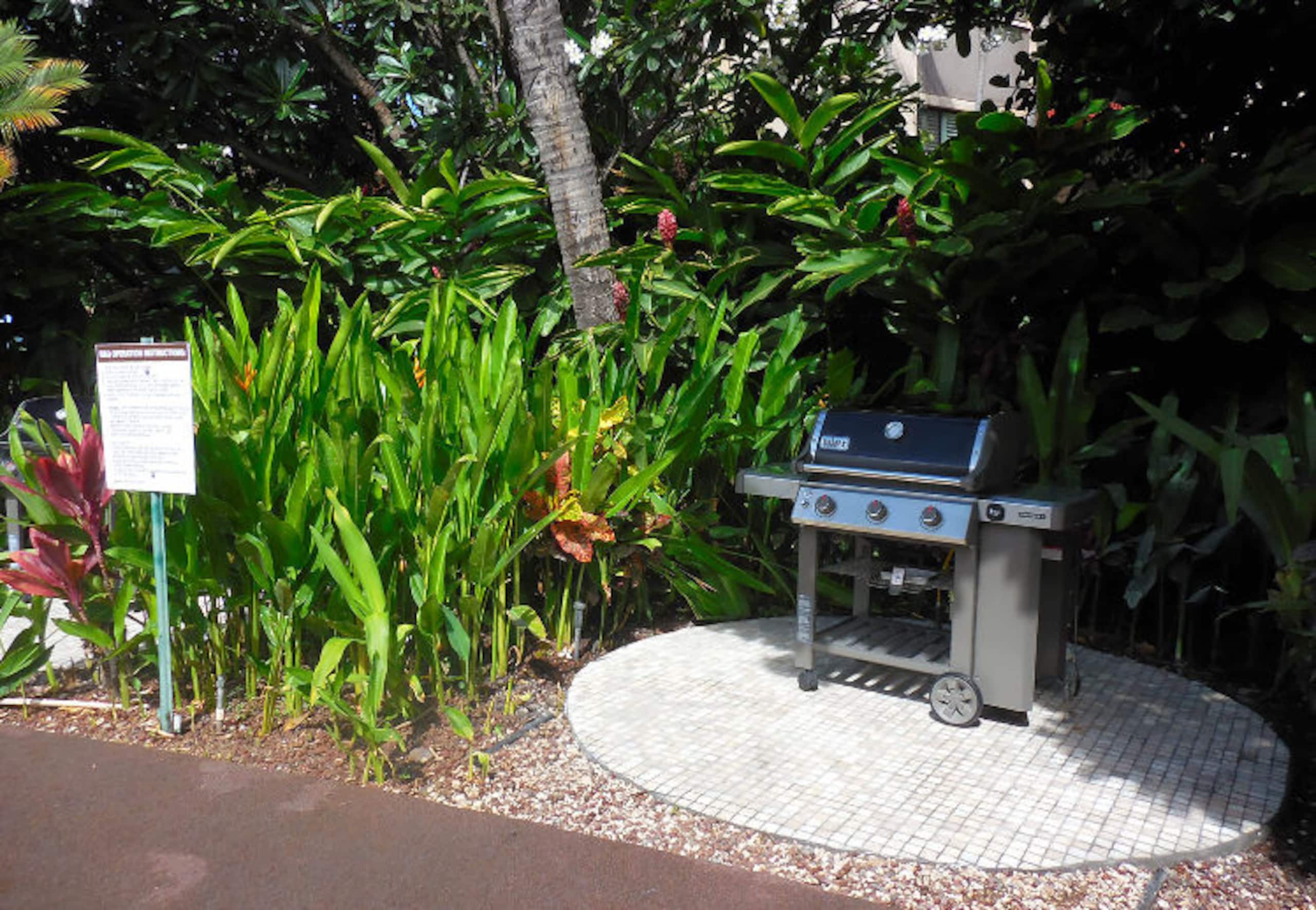 Condo in Kihei · ★4.57 · 2 bedrooms · 3 beds · 1 private bath - Image 30