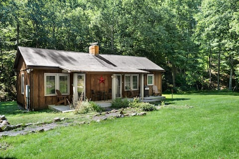 Cabin w/hot tub & fire pit, pet-friendly