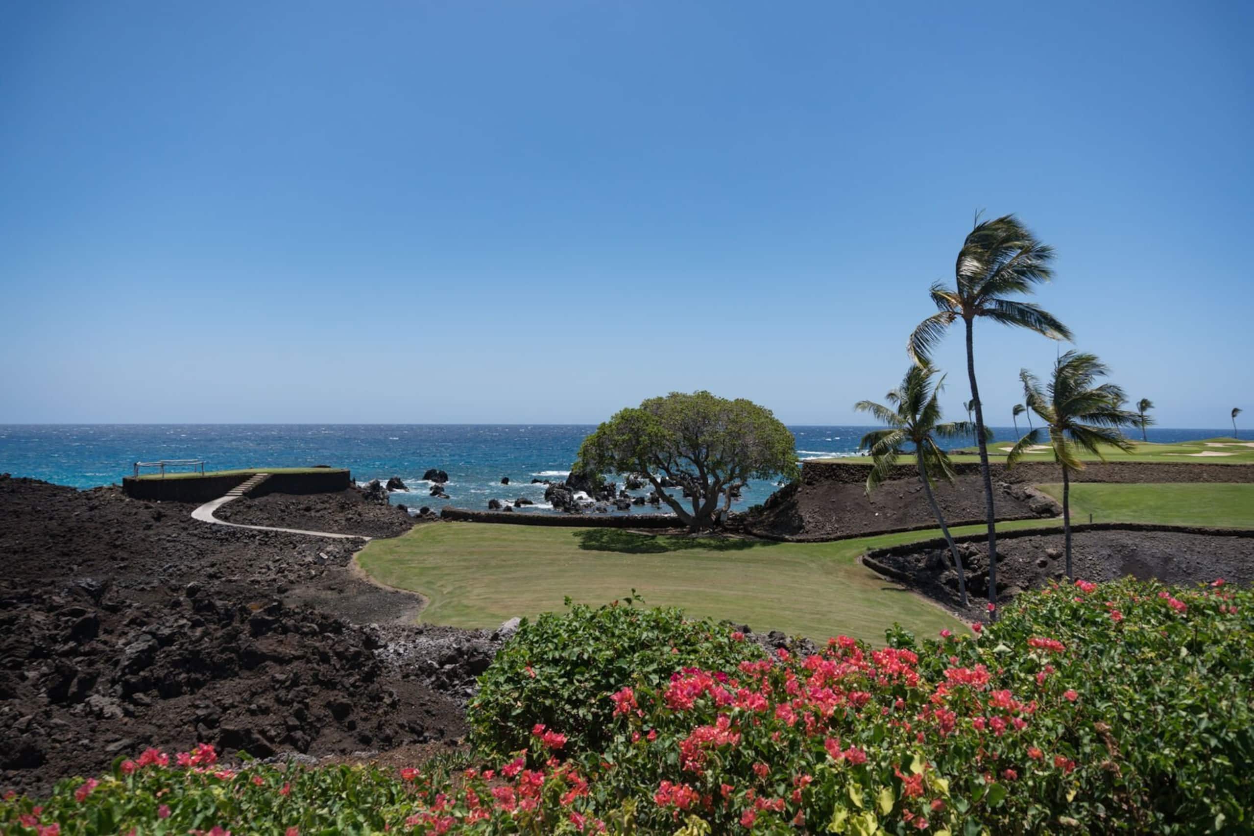 1BR Mauna Lani Point, lovely mountain views - Photo 33