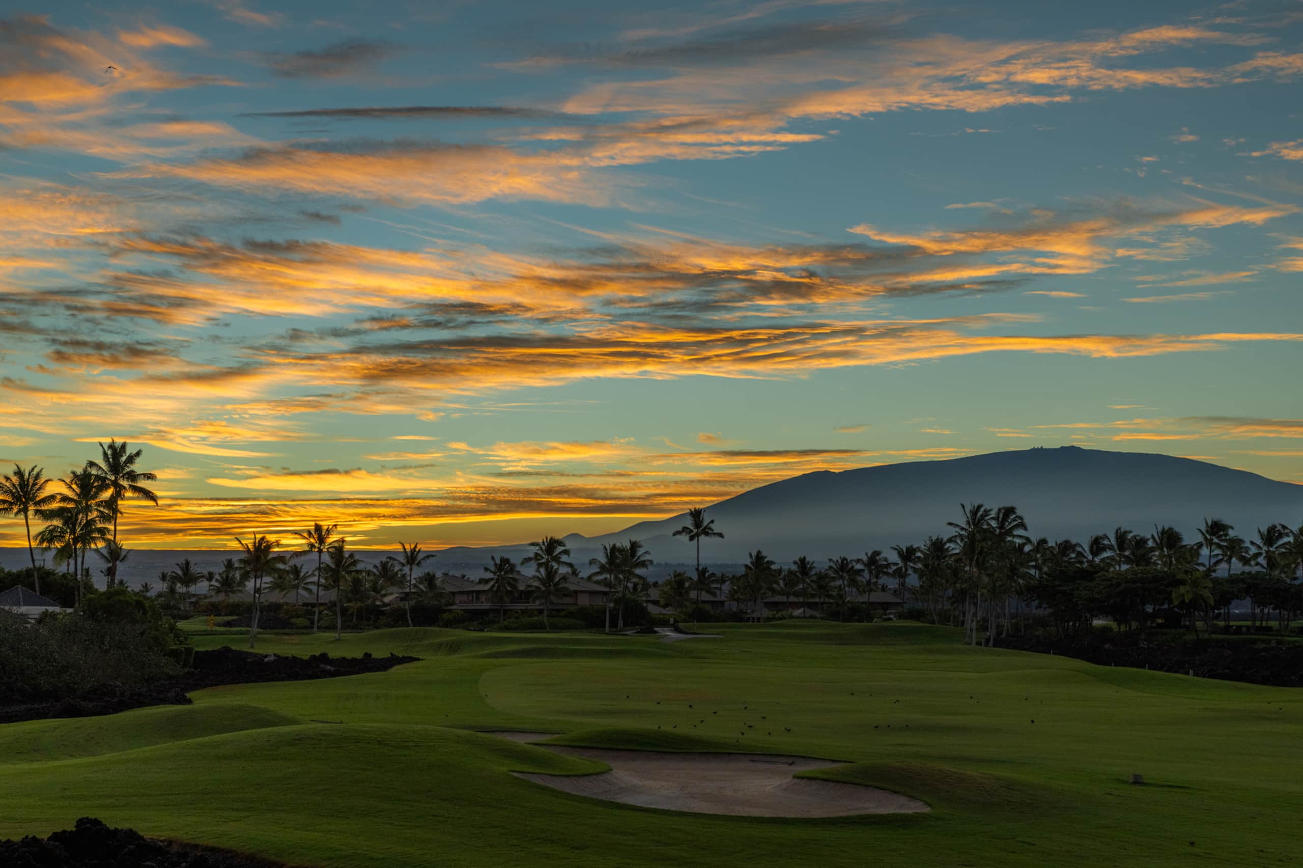 1BR Mauna Lani Point, lovely mountain views - Photo 29