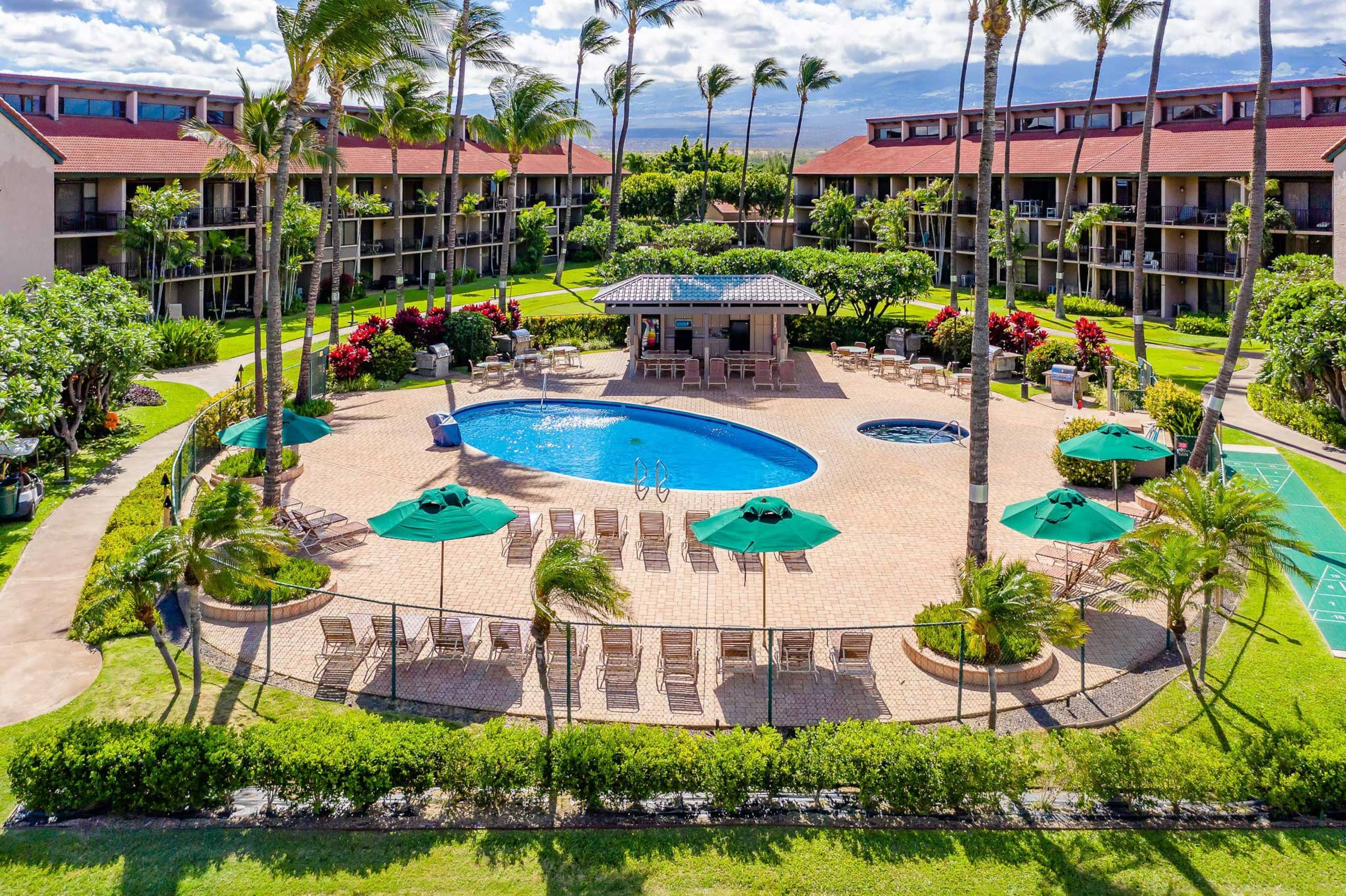 Gorgeous,2 bd, Ocean, AC,wifi,pool, hot tub D104 - Image 29