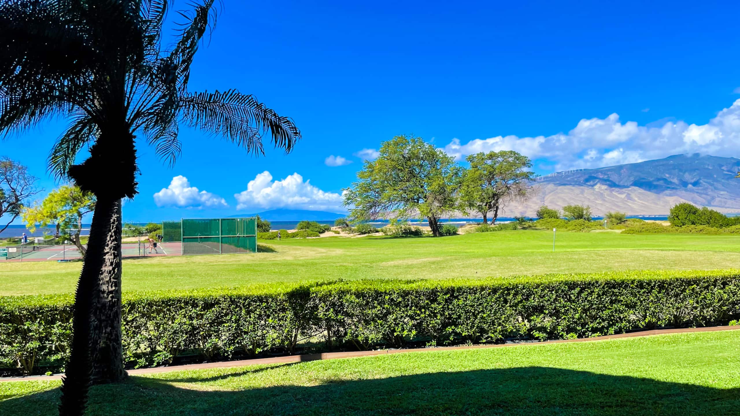 Gorgeous,2 bd, Ocean, AC,wifi,pool, hot tub D104 - Image 1