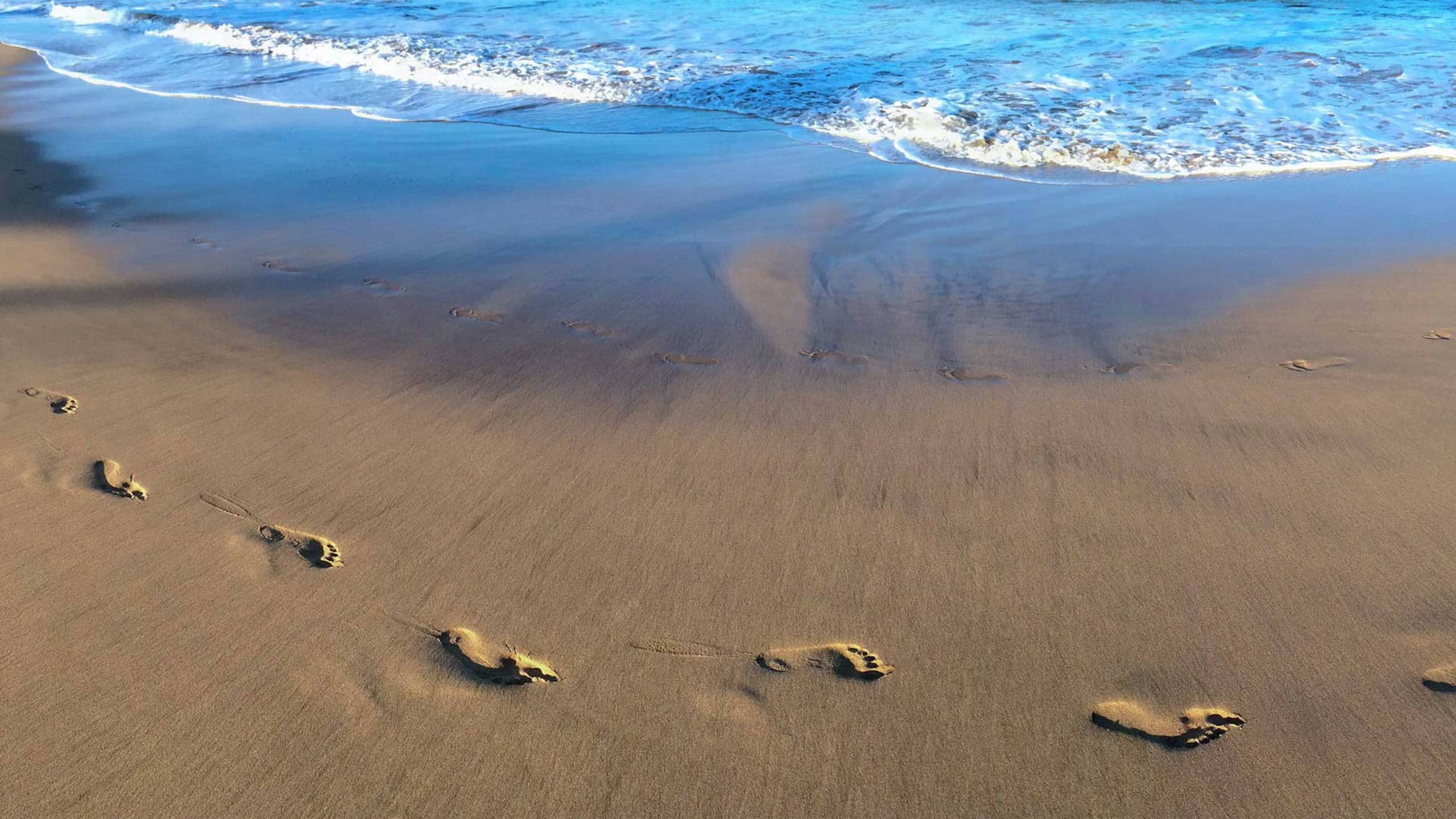 Gorgeous,2 bd, Ocean, AC,wifi,pool, hot tub D104 - Image 20